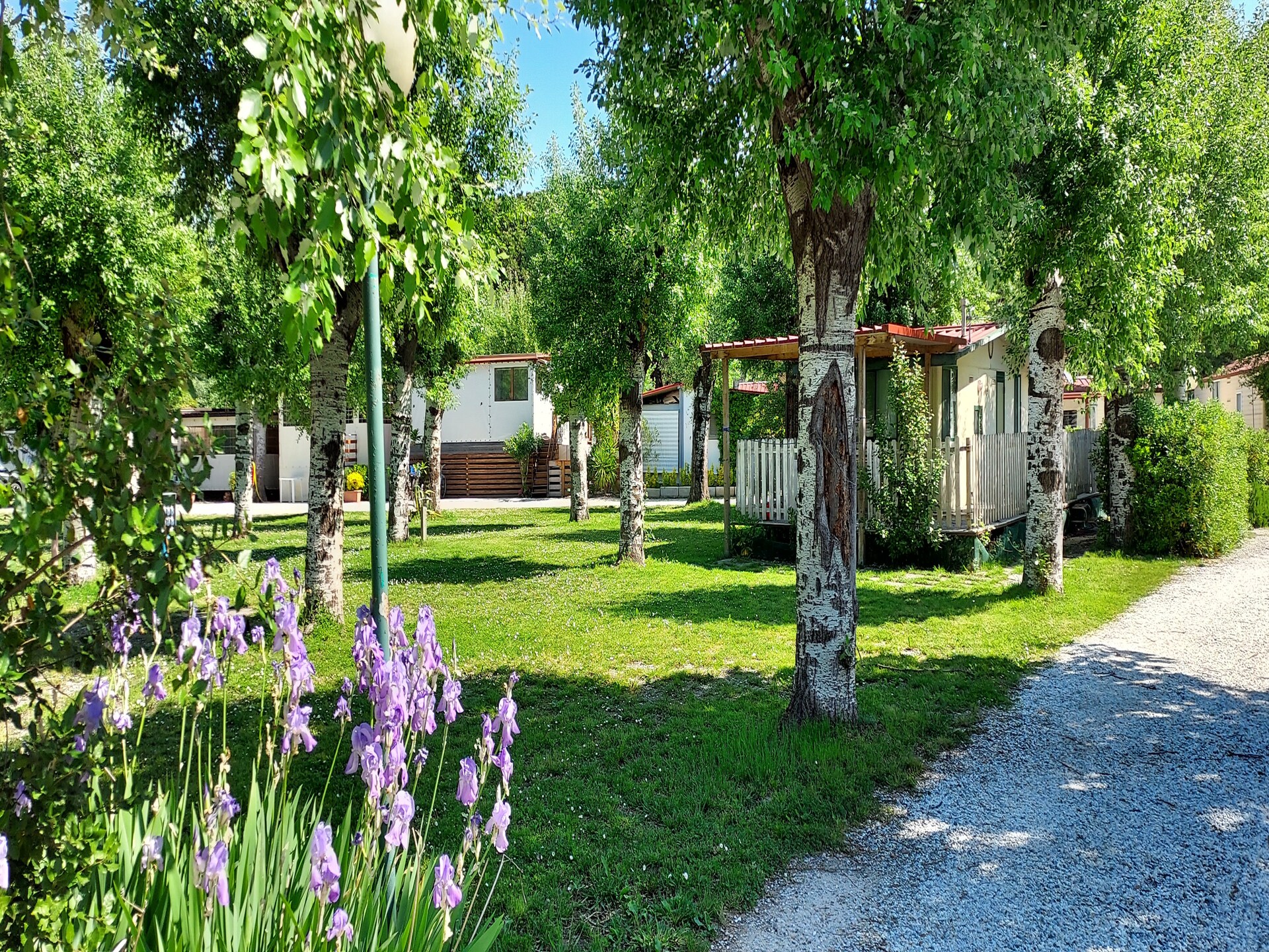 Stacaravan met privézwembad in olijfgaard bij Sarzana, vlakbij Cinque Terre - foto 7