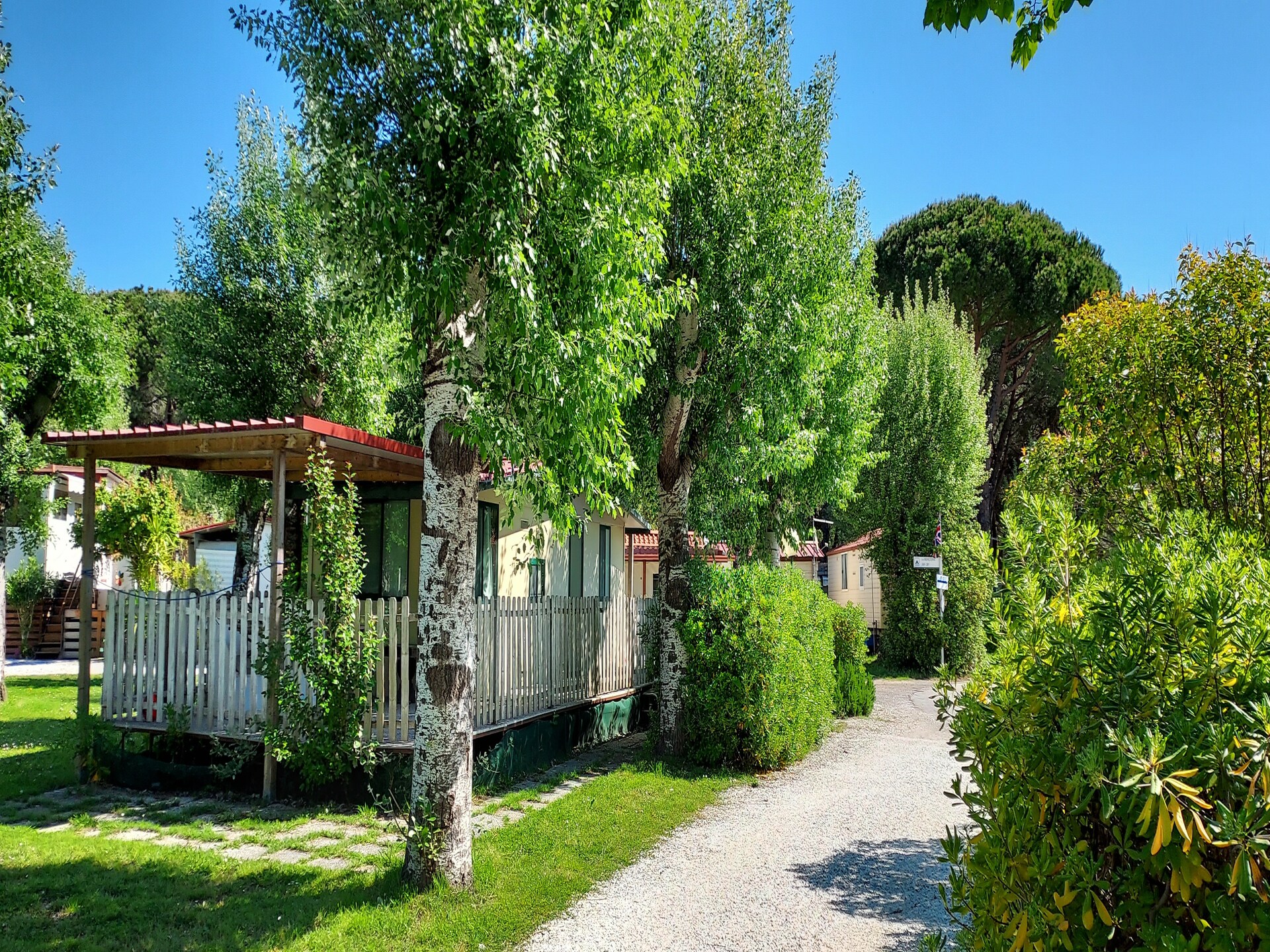 Stacaravan met privézwembad in olijfgaard bij Sarzana, vlakbij Cinque Terre - foto 9