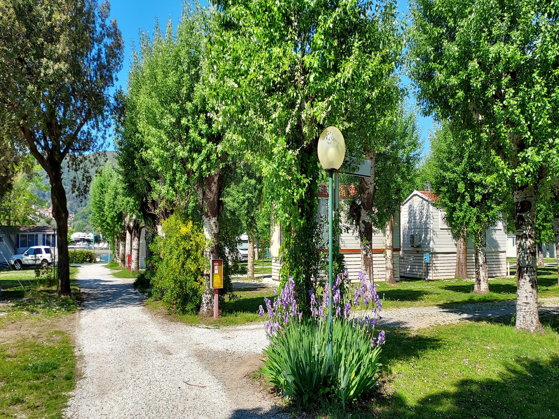 Stacaravan met privézwembad in olijfgaard bij Sarzana, vlakbij Cinque Terre - foto 18