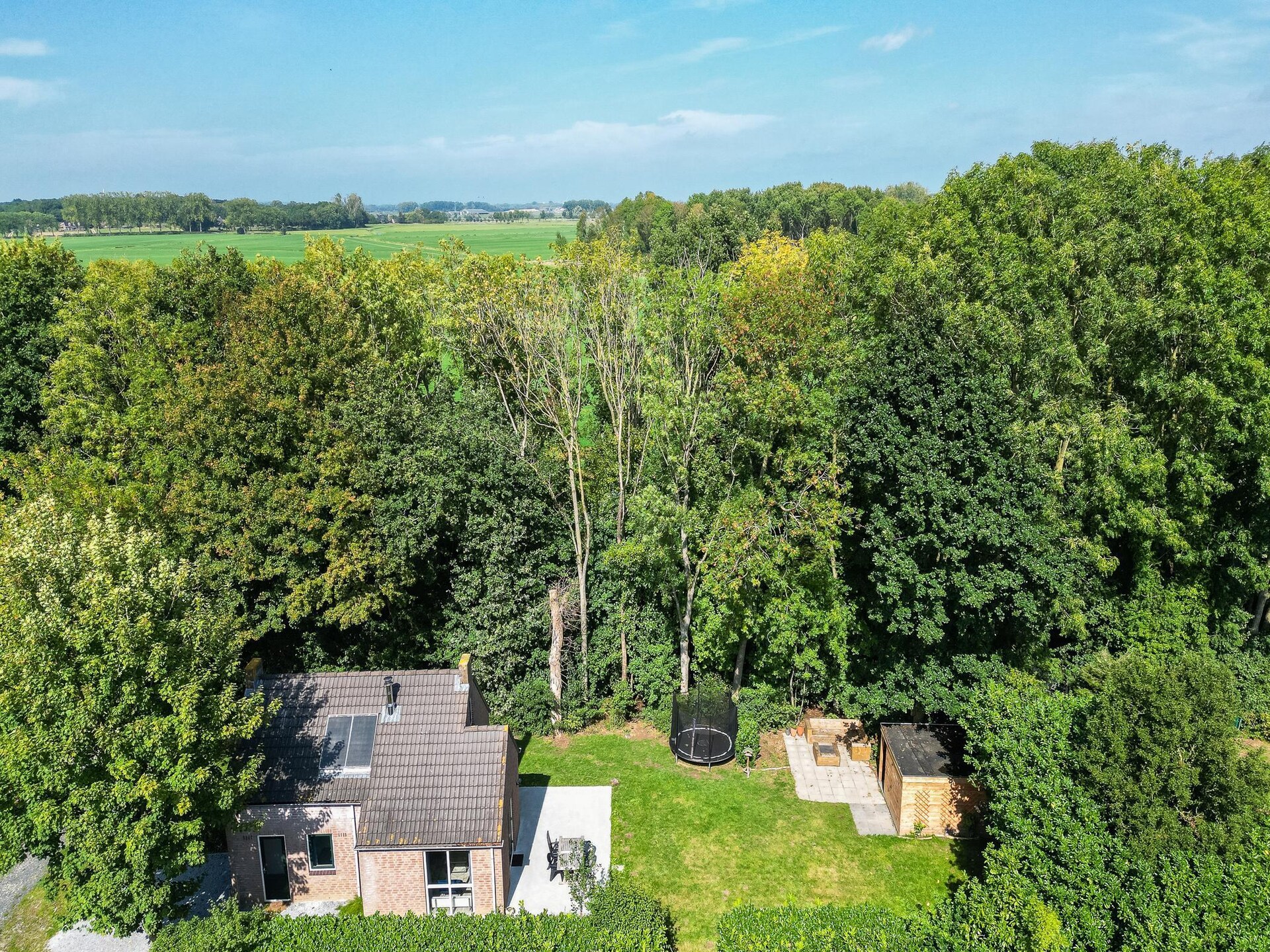 Vrijstaande bosbungalow met sauna en privétuin in Ewijk, nabij Nijmegen - foto 39
