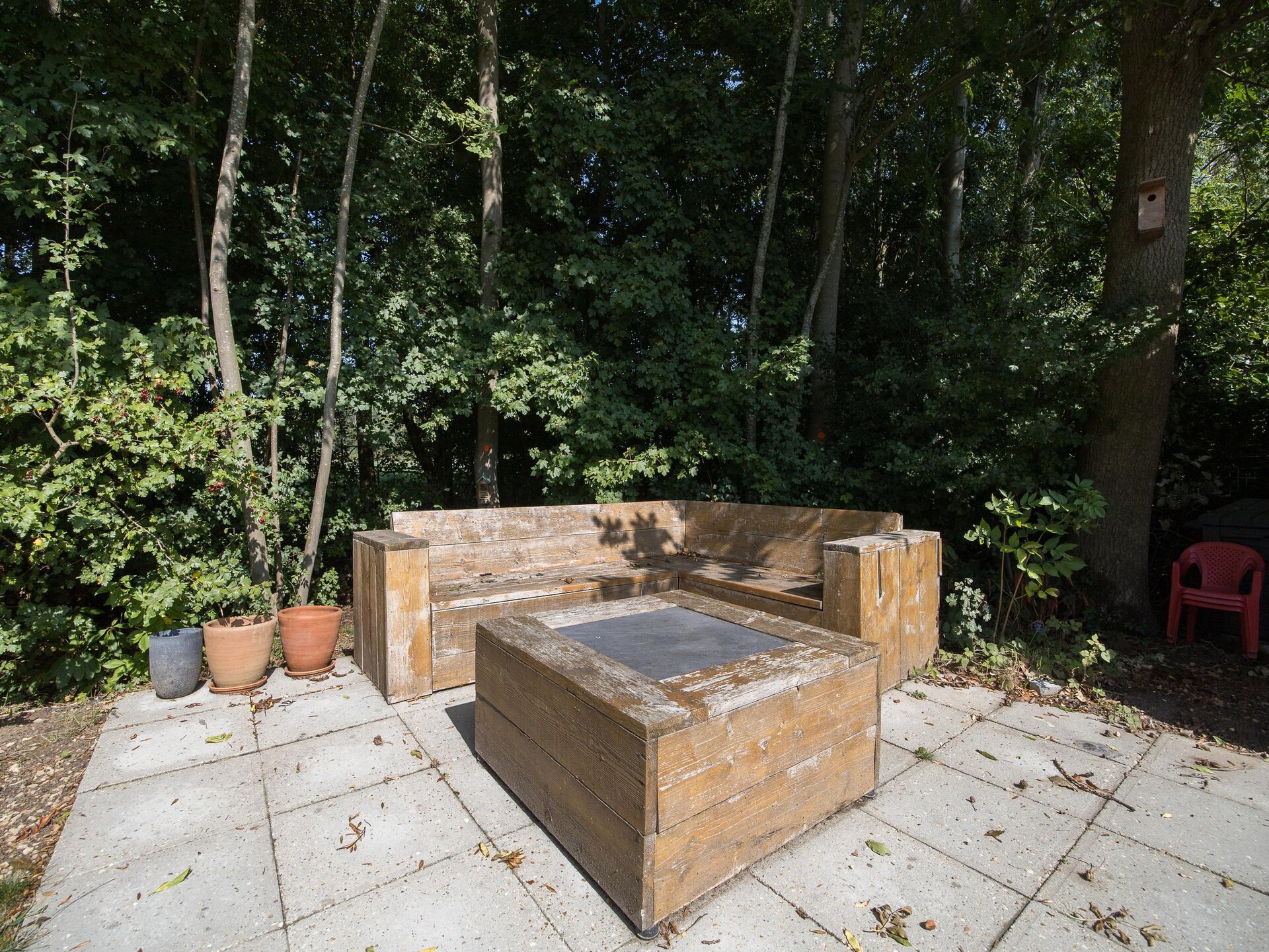 Vrijstaande bosbungalow met sauna en privétuin in Ewijk, nabij Nijmegen - foto 9