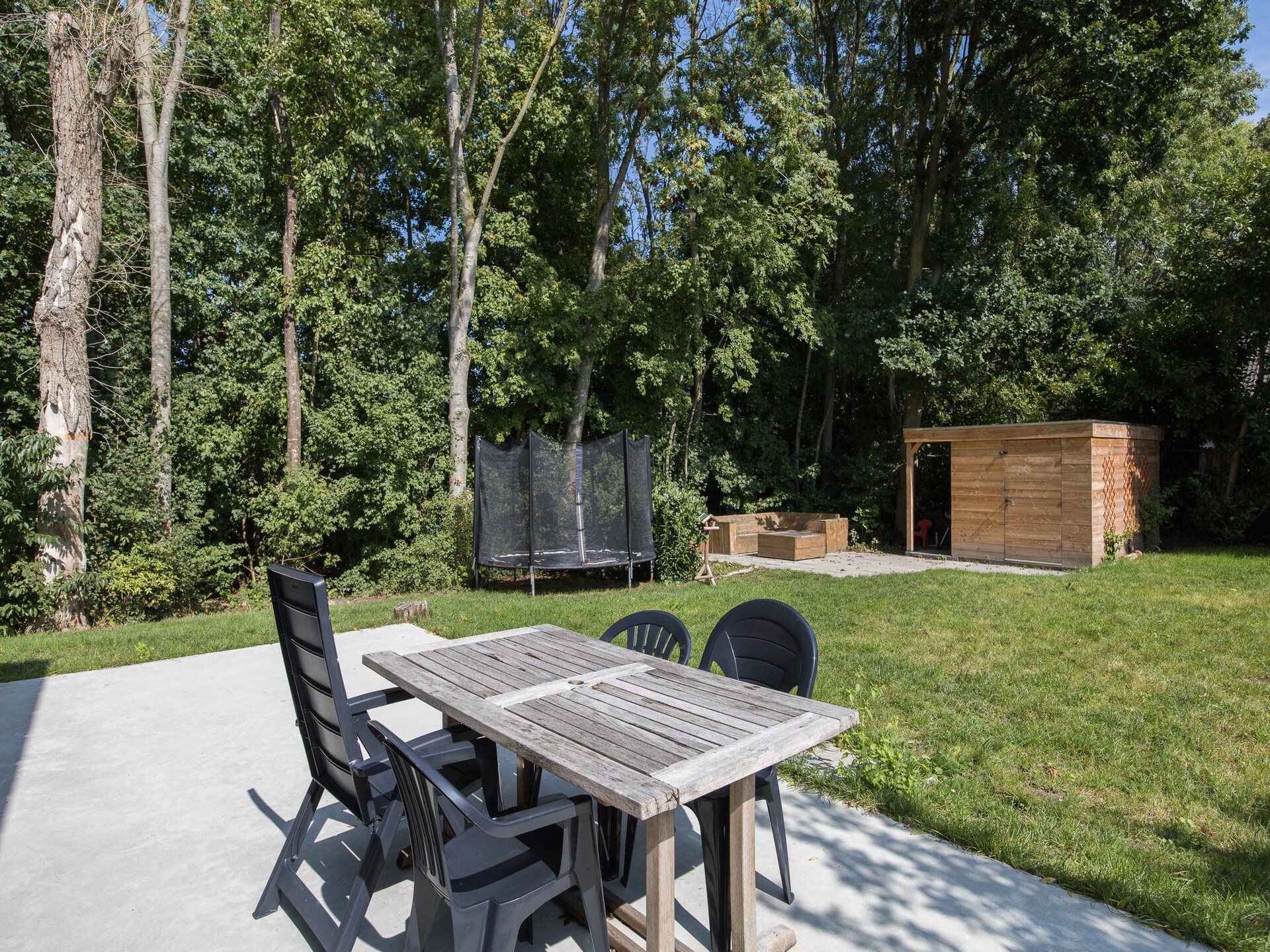 Vrijstaande bosbungalow met sauna en privétuin in Ewijk, nabij Nijmegen - foto 8
