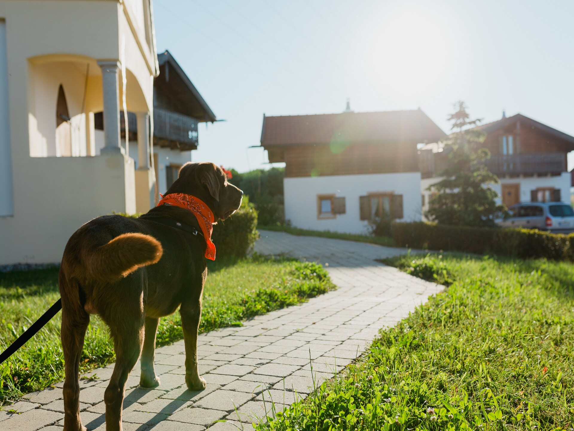 Charmant vakantiehuis voor 4 personen in Bayerbach · 50 m² - foto 25