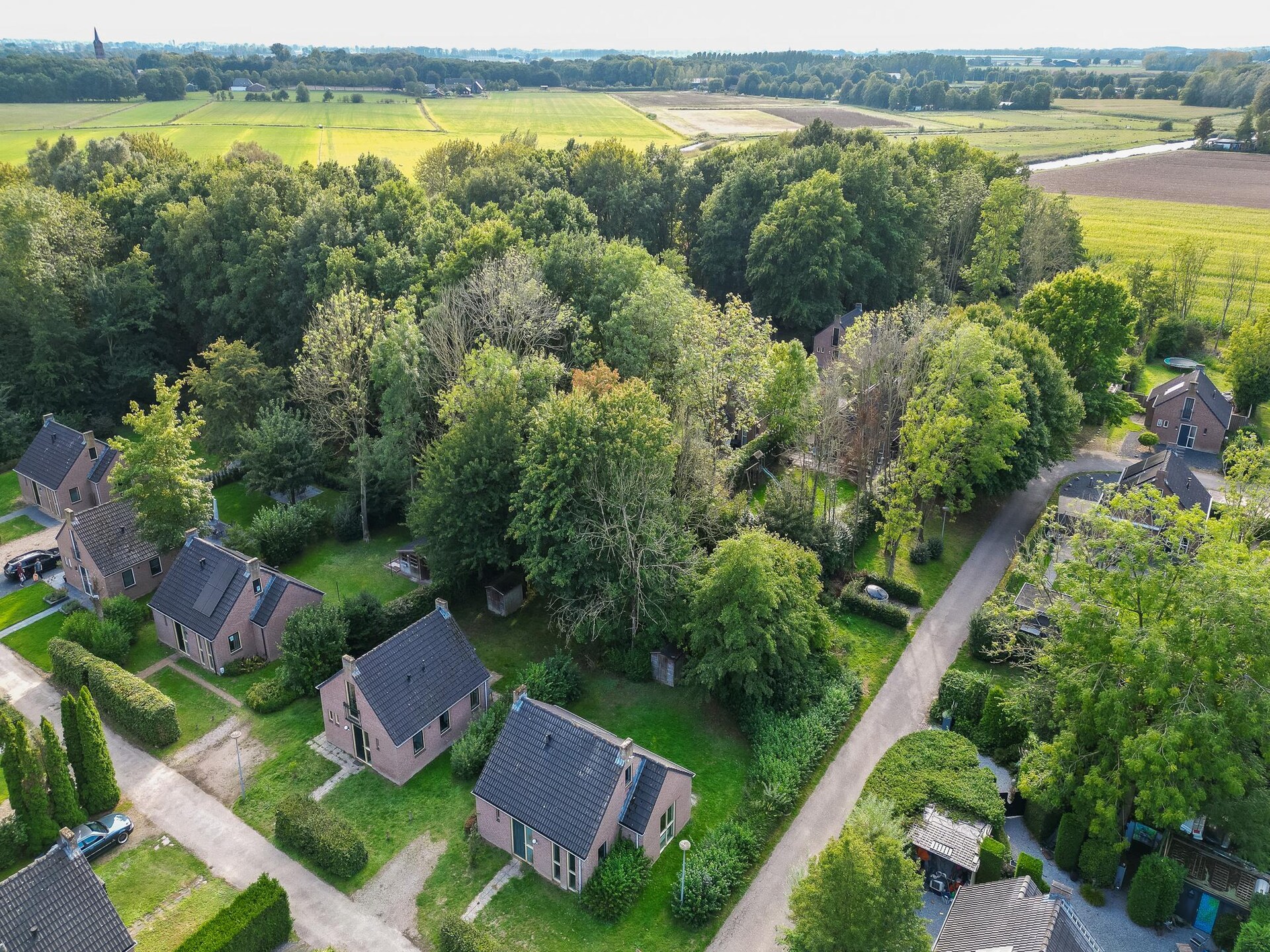 Forest 217: Vrijstaande sauna bungalow in het bos voor 4 personen - foto 34