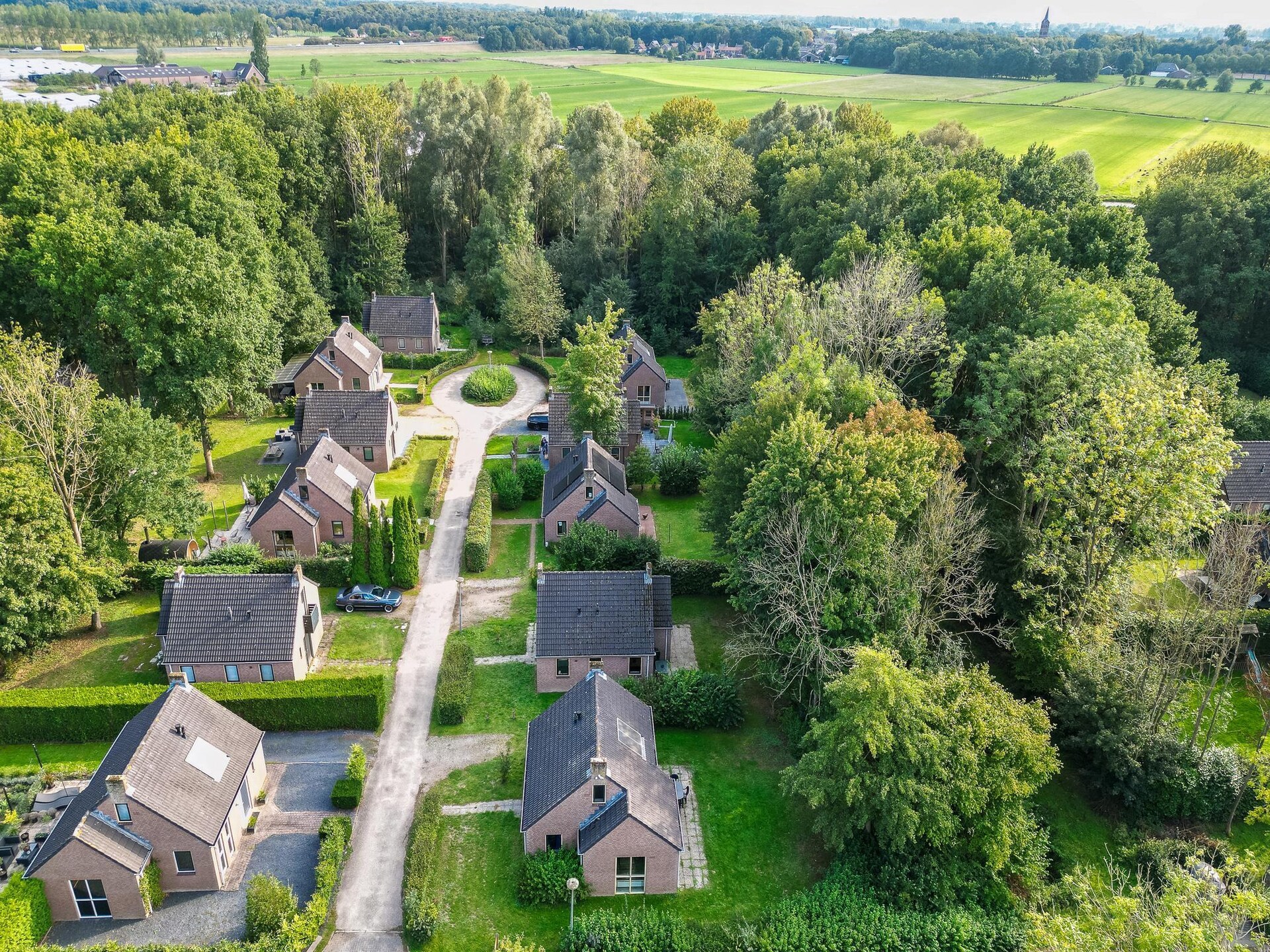 Forest 217: Vrijstaande sauna bungalow in het bos voor 4 personen - foto 35