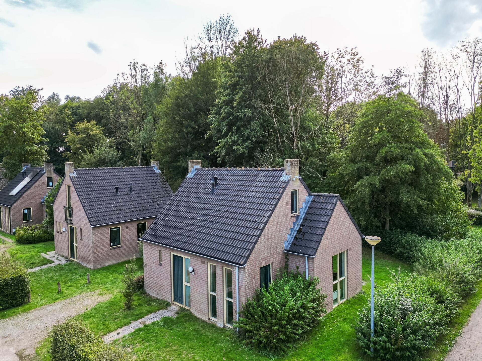 Forest 217: Vrijstaande sauna bungalow in het bos voor 4 personen - foto 10