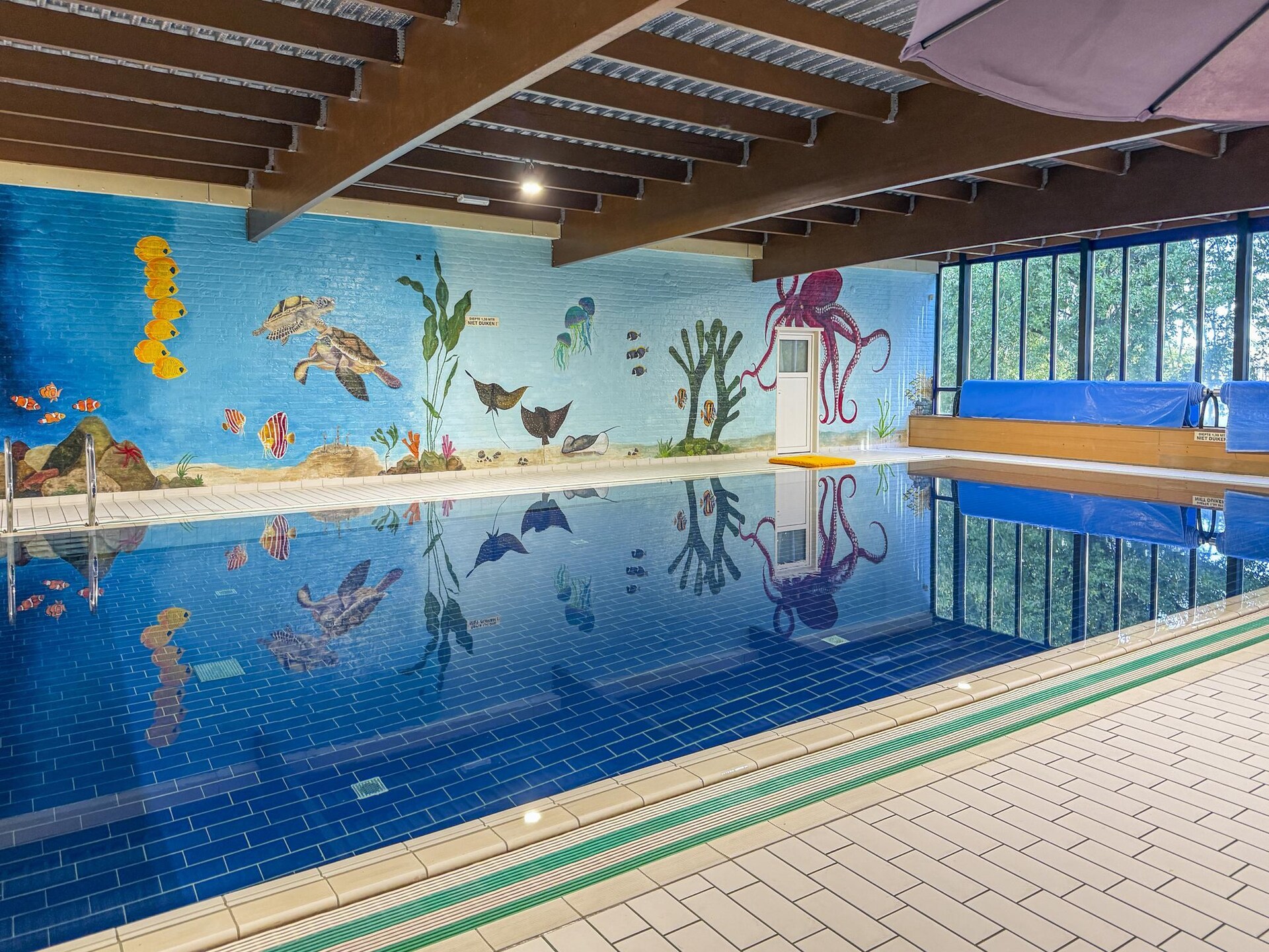 Vrijstaande boshuis met sauna aan het water in Ewijk, 6 personen - foto 2