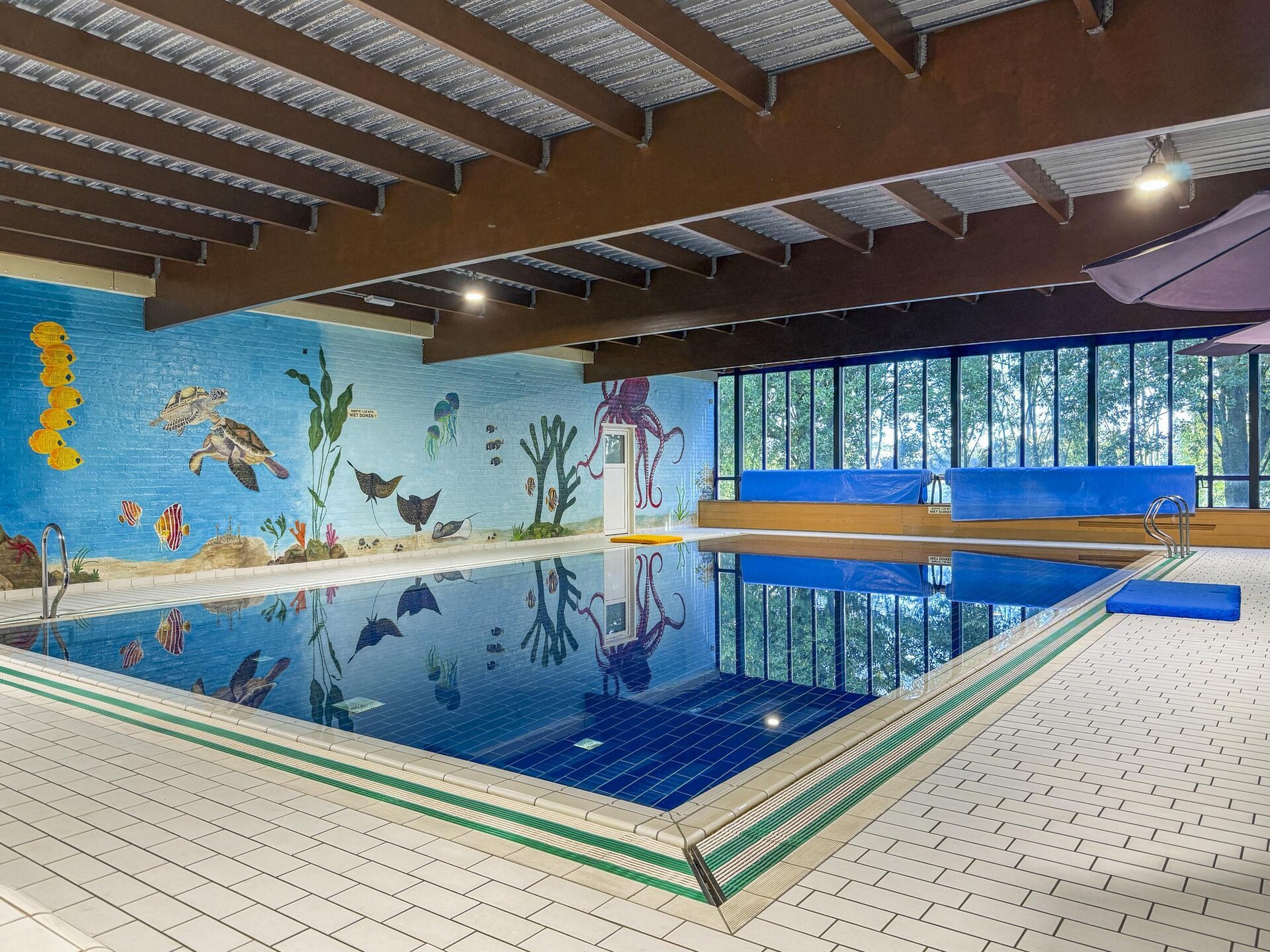 Forest 217: Vrijstaande bosbungalow met sauna voor 6 personen in Ewijk - foto 11