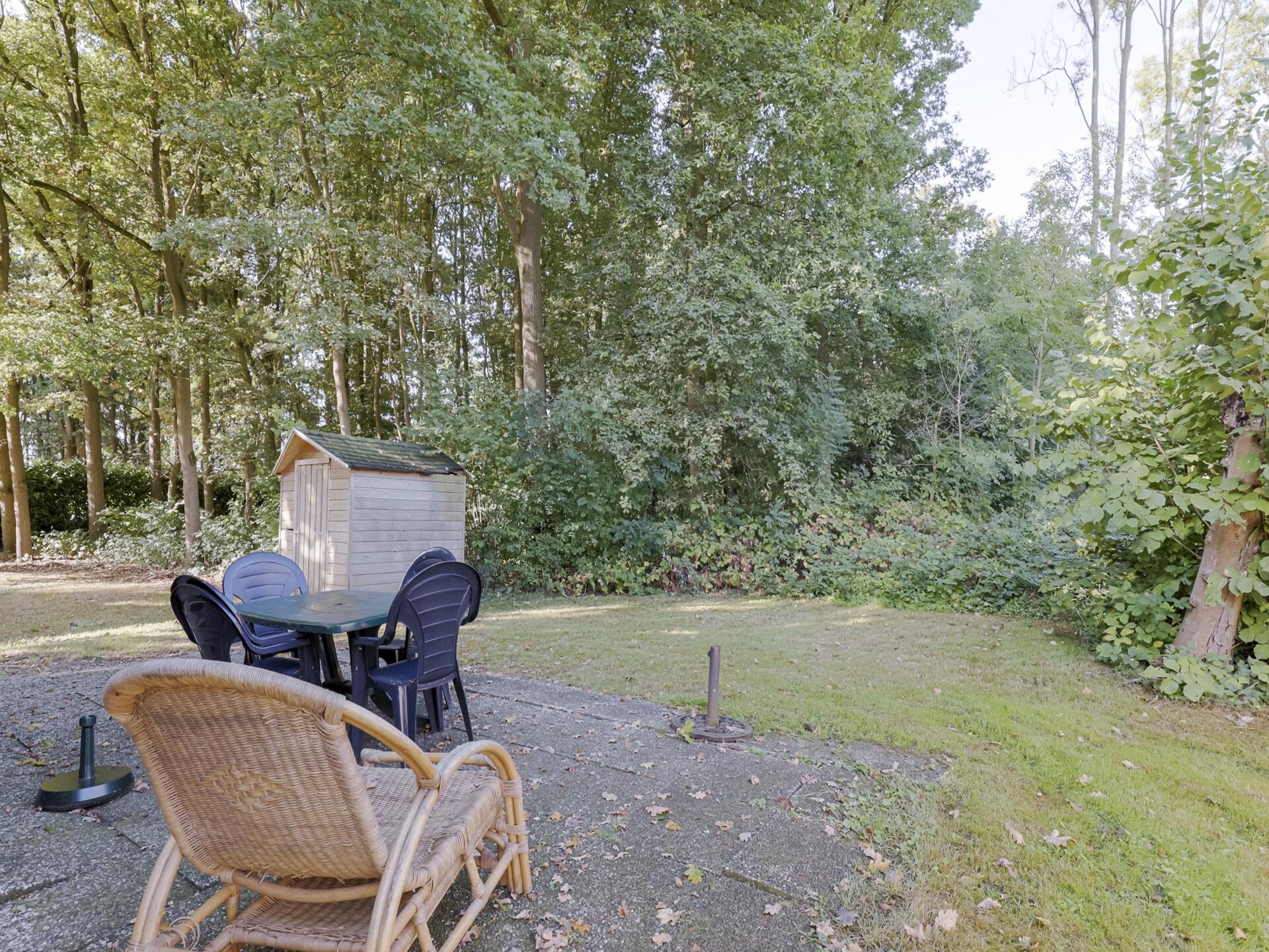 Forest 217: Vrijstaande bosbungalow met sauna voor 6 personen in Ewijk - foto 7
