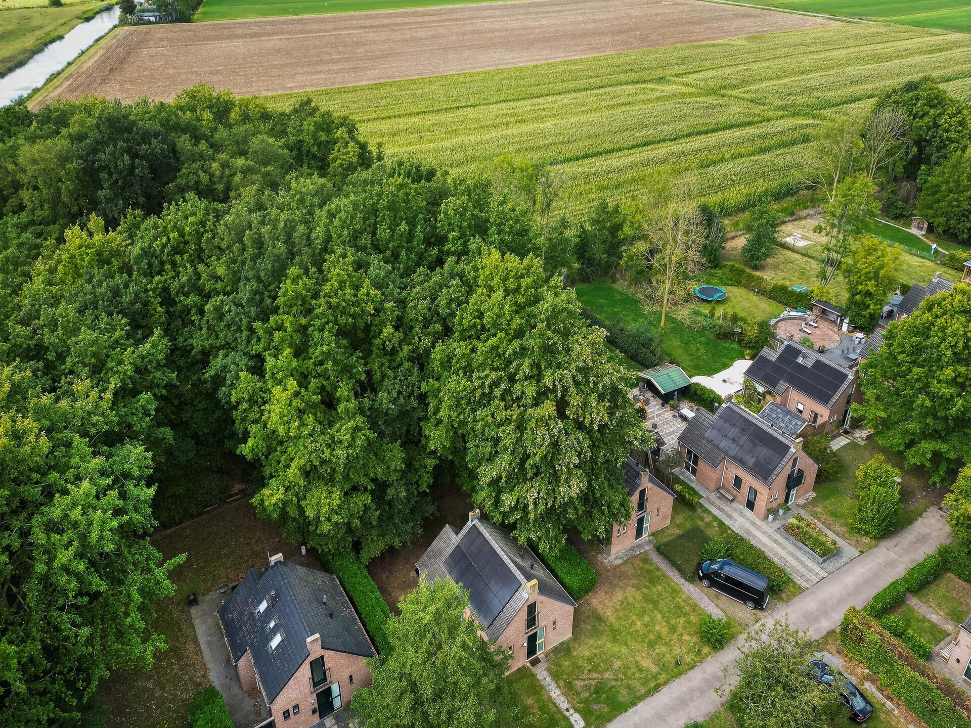 Forest 217: Vrijstaande bosbungalow met sauna voor 6 personen in Ewijk - foto 29