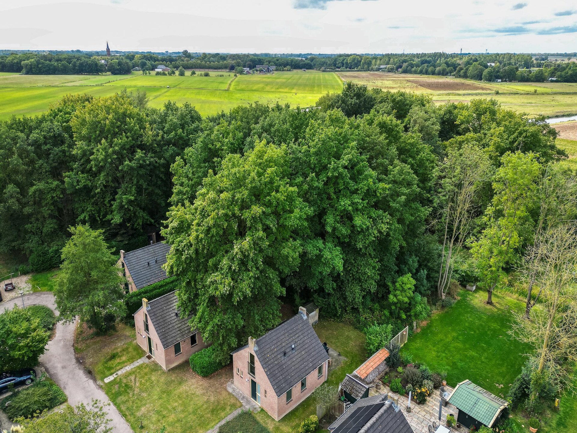 Forest 217: Vrijstaande bosbungalow met sauna voor 6 personen in Ewijk - foto 30