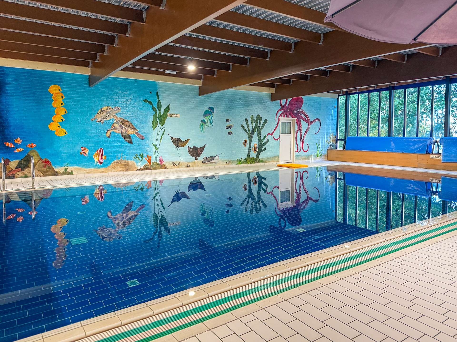 Vrijstaande sauna bungalow aan het water in Ewijk voor 6 personen - foto 2