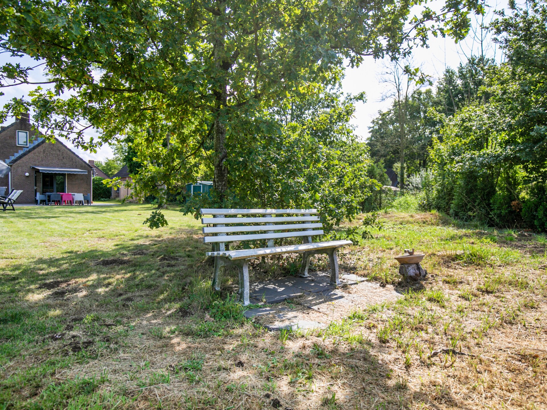Forest 217: Luxe sauna bungalow in het bos voor 6 personen bij Ewijk - foto 32