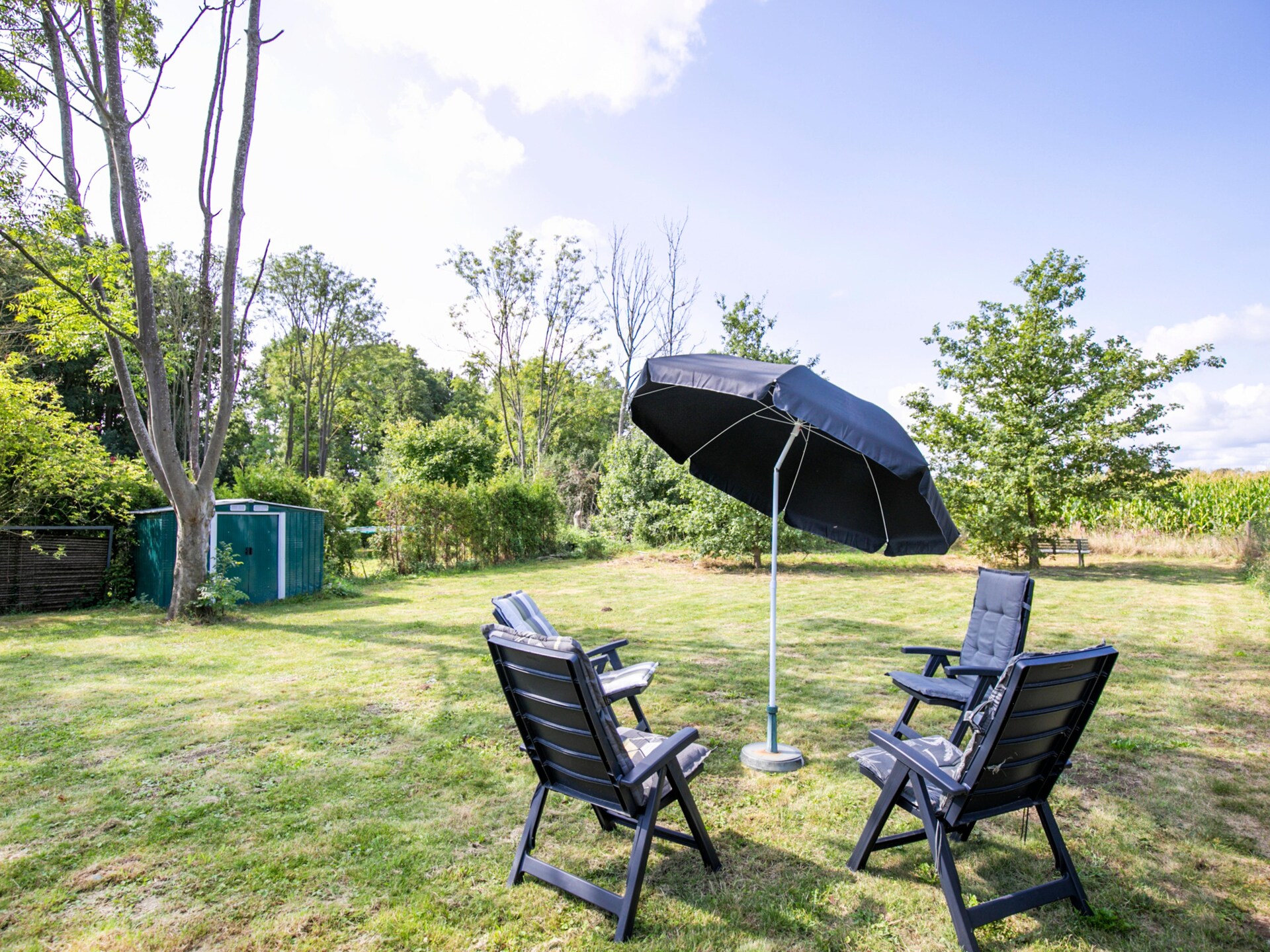 Forest 217: Luxe sauna bungalow in het bos voor 6 personen bij Ewijk - foto 27
