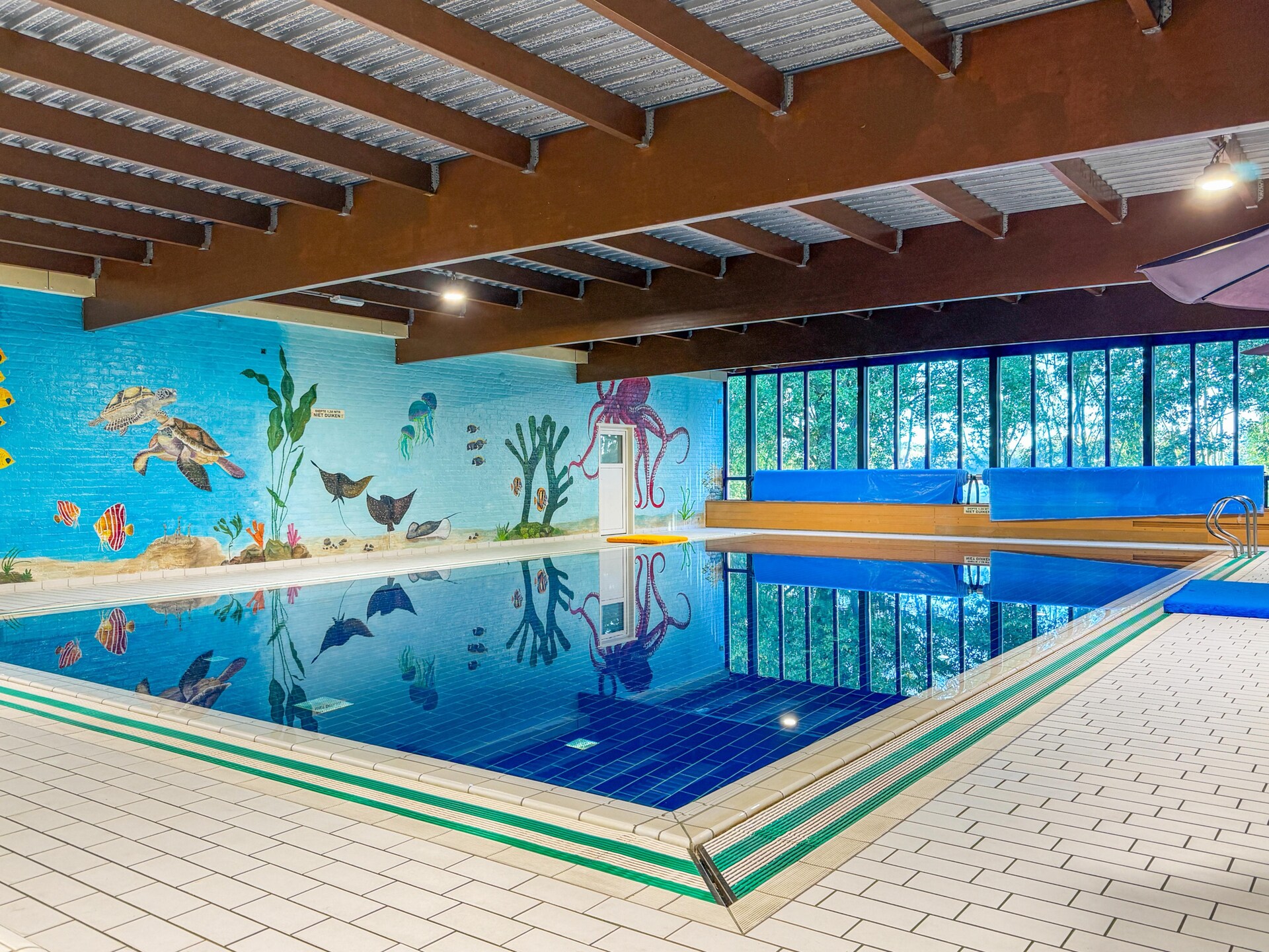 Forest 217: Vrijstaande sauna bungalow aan het water voor 6 personen - foto 22