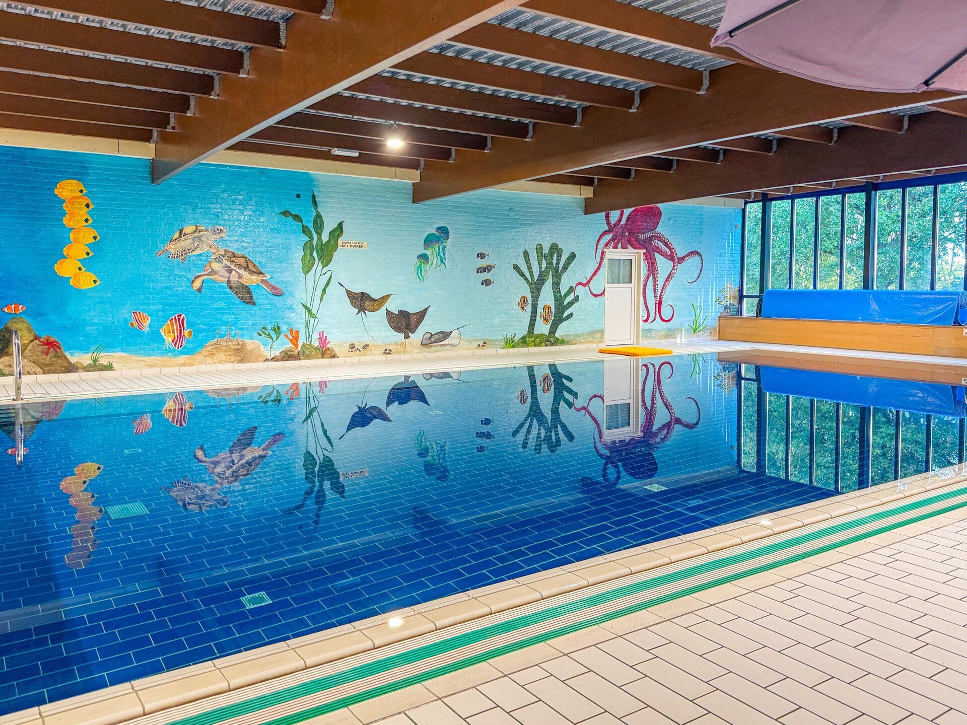 Forest 217: Vrijstaande sauna bungalow aan het water voor 6 personen - foto 2