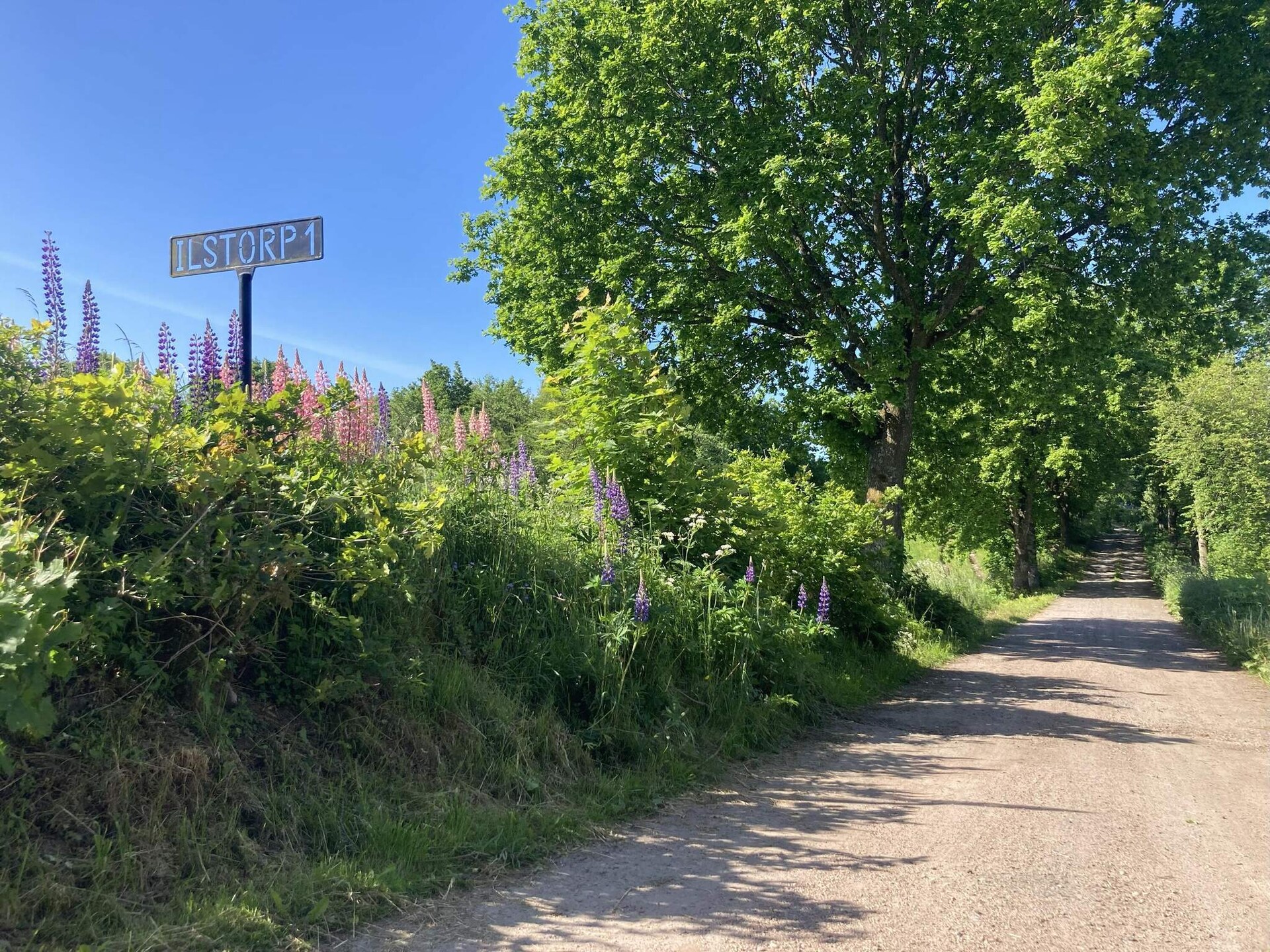 Vrijstaand vakantiehuis met gastenverblijf en vijver bij Brösarp - foto 10