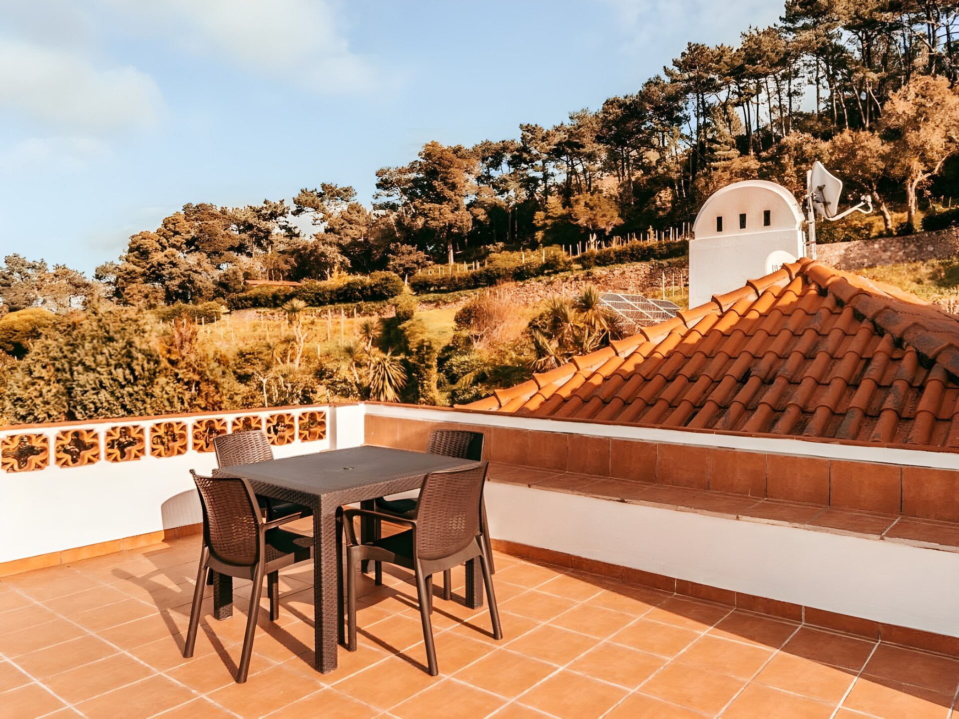 Stijlvol gerenoveerd vakantiehuis nabij Sintra met tuin, voor 7 personen - foto 34