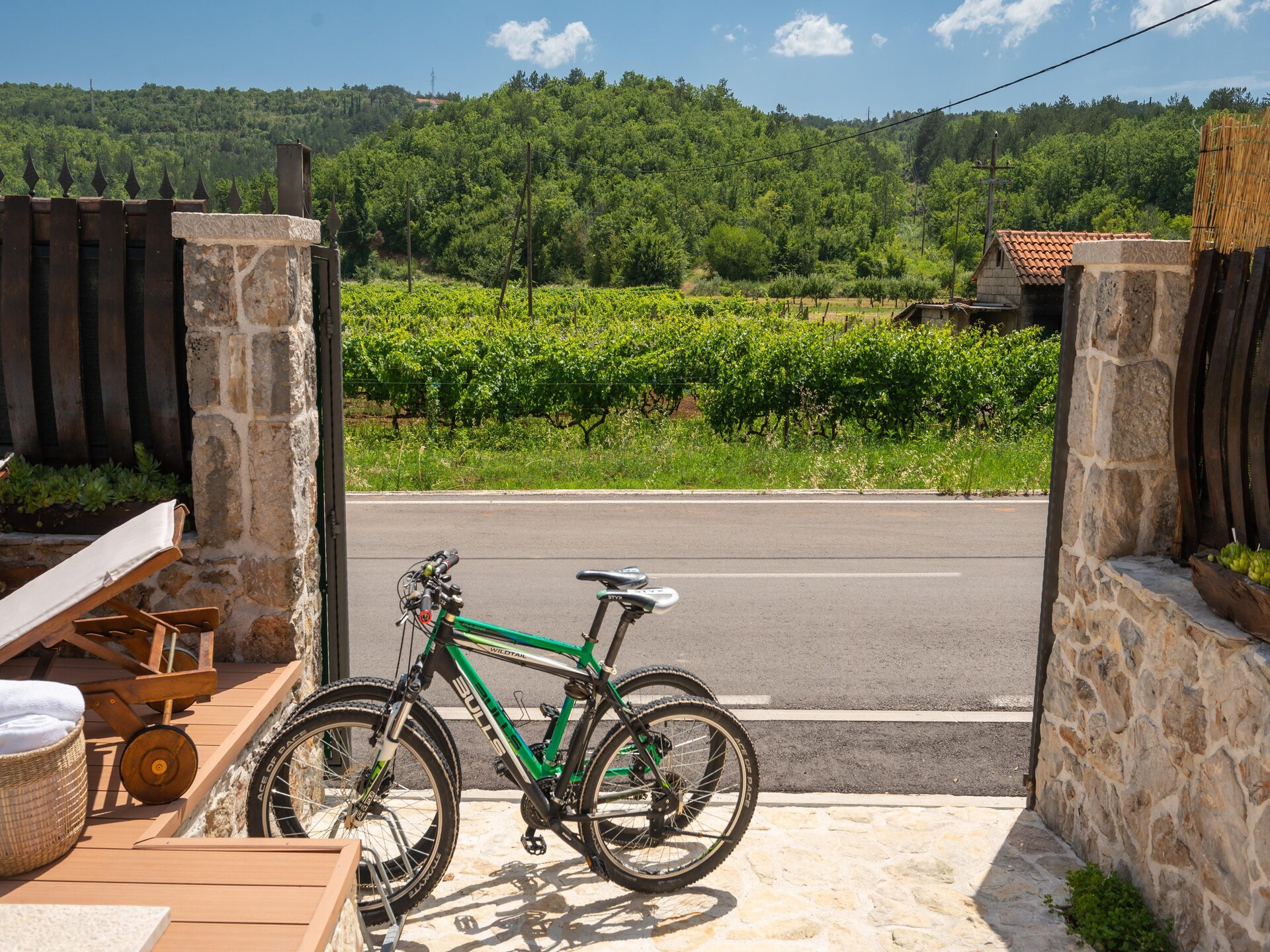 Villa Old House: privézwembad, jacuzzi en zomerkeuken bij Šumet - foto 37