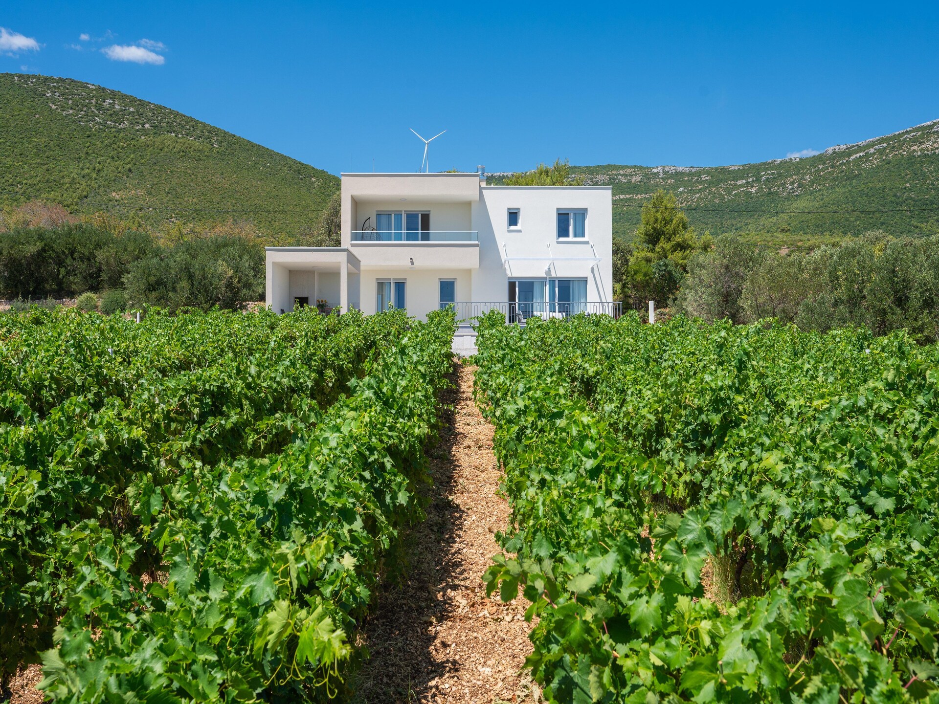 Villa Vista Vinea: luxe privévilla met panoramisch uitzicht en verwarmd zwembad bij Split - foto 9