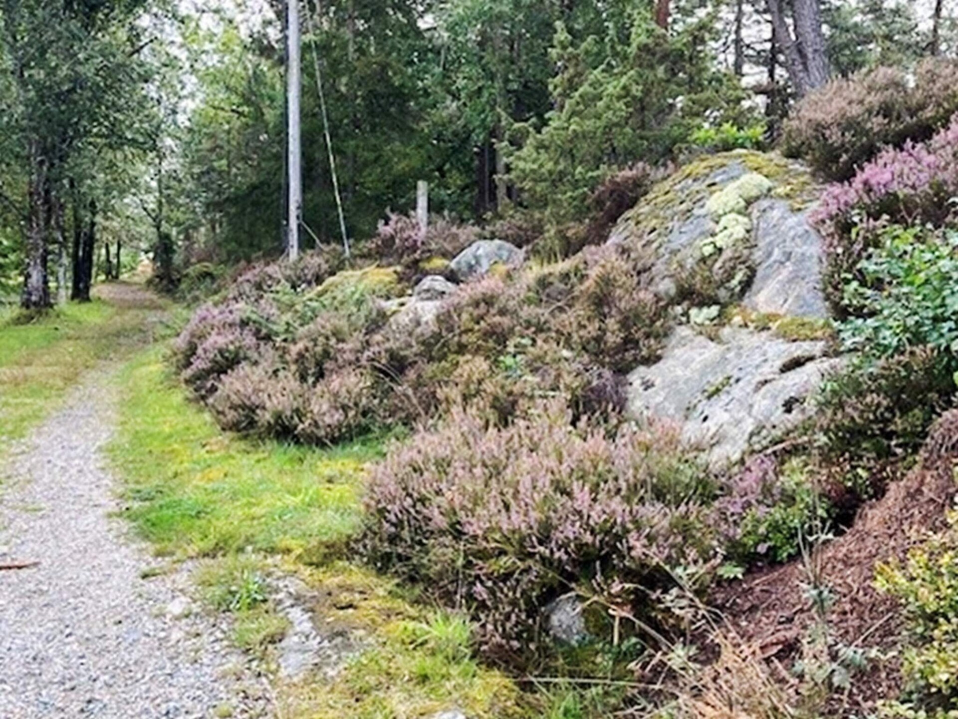 Zonnig vakantiehuis aan de golfbaan, 350m van zee in Strömstad - foto 14