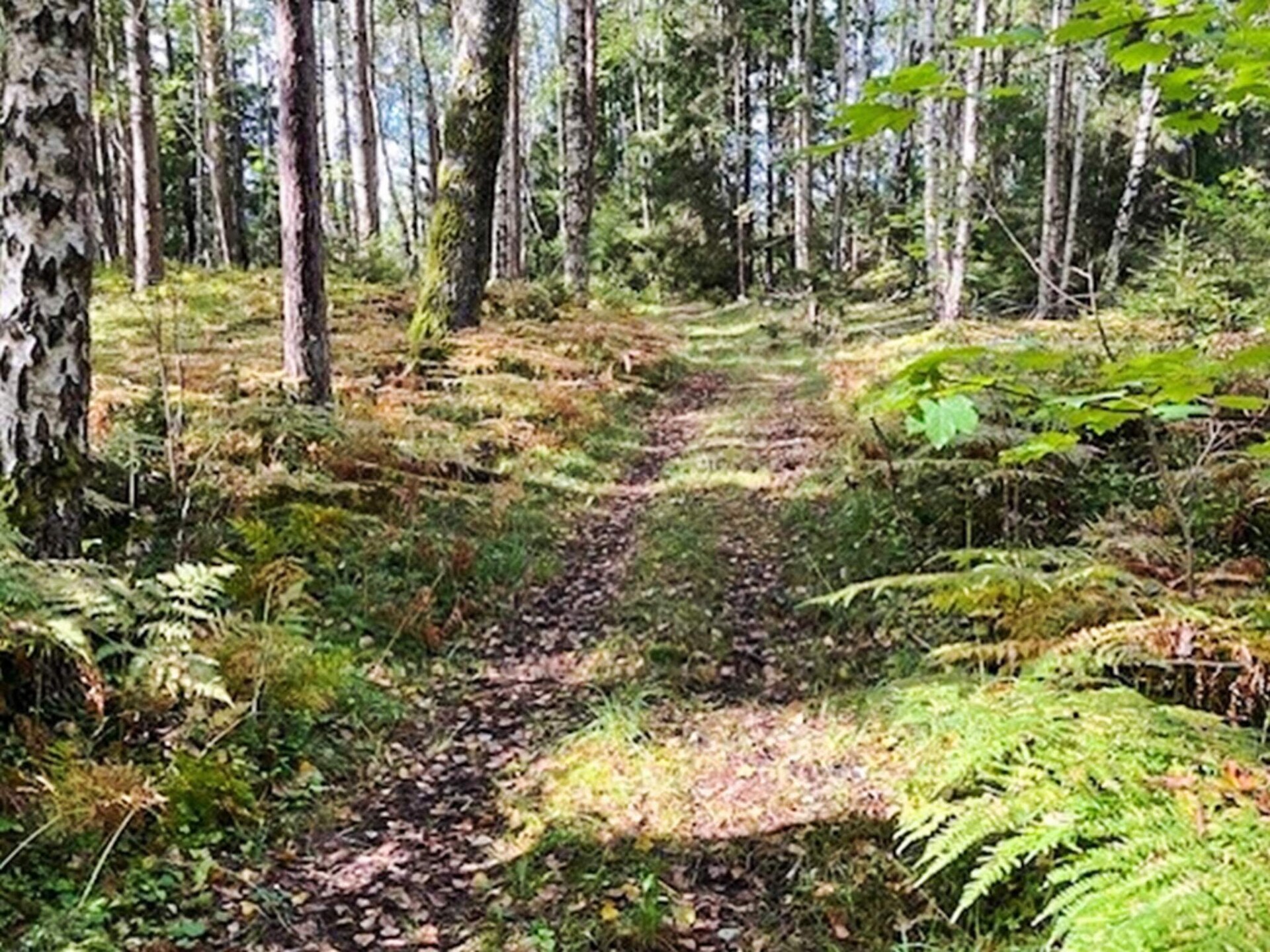 Zonnig vakantiehuis aan de golfbaan, 350m van zee in Strömstad - foto 24