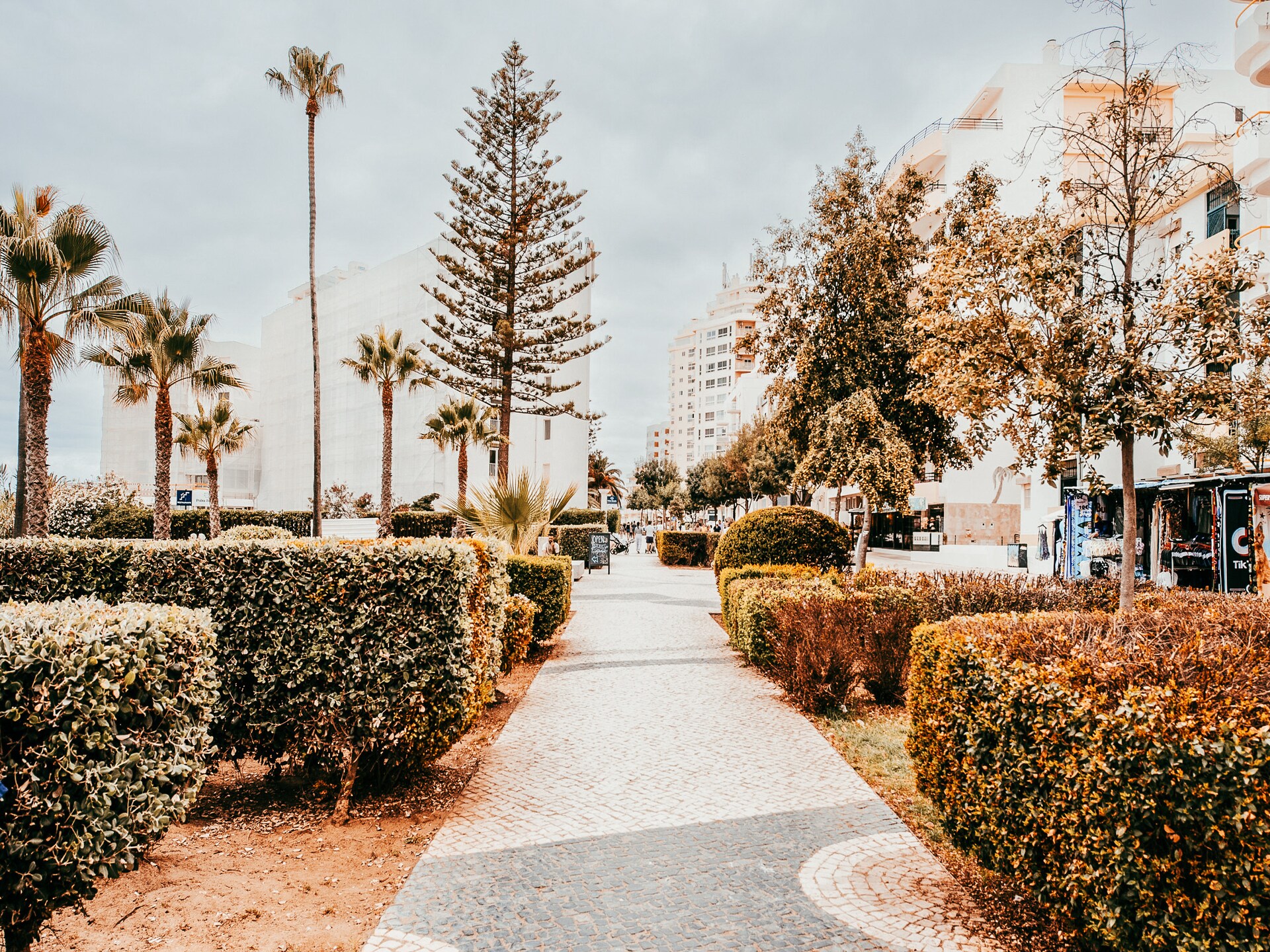4-persoons appartement aan het strand in Armação de Pêra - foto 39