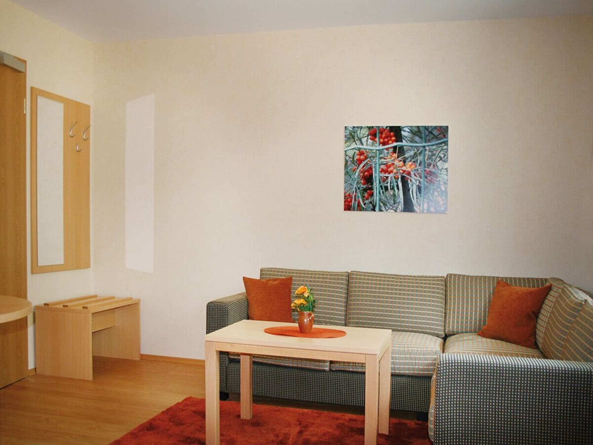 Modern en hondvriendelijk appartement in Sassenburg aan het meer - foto 3