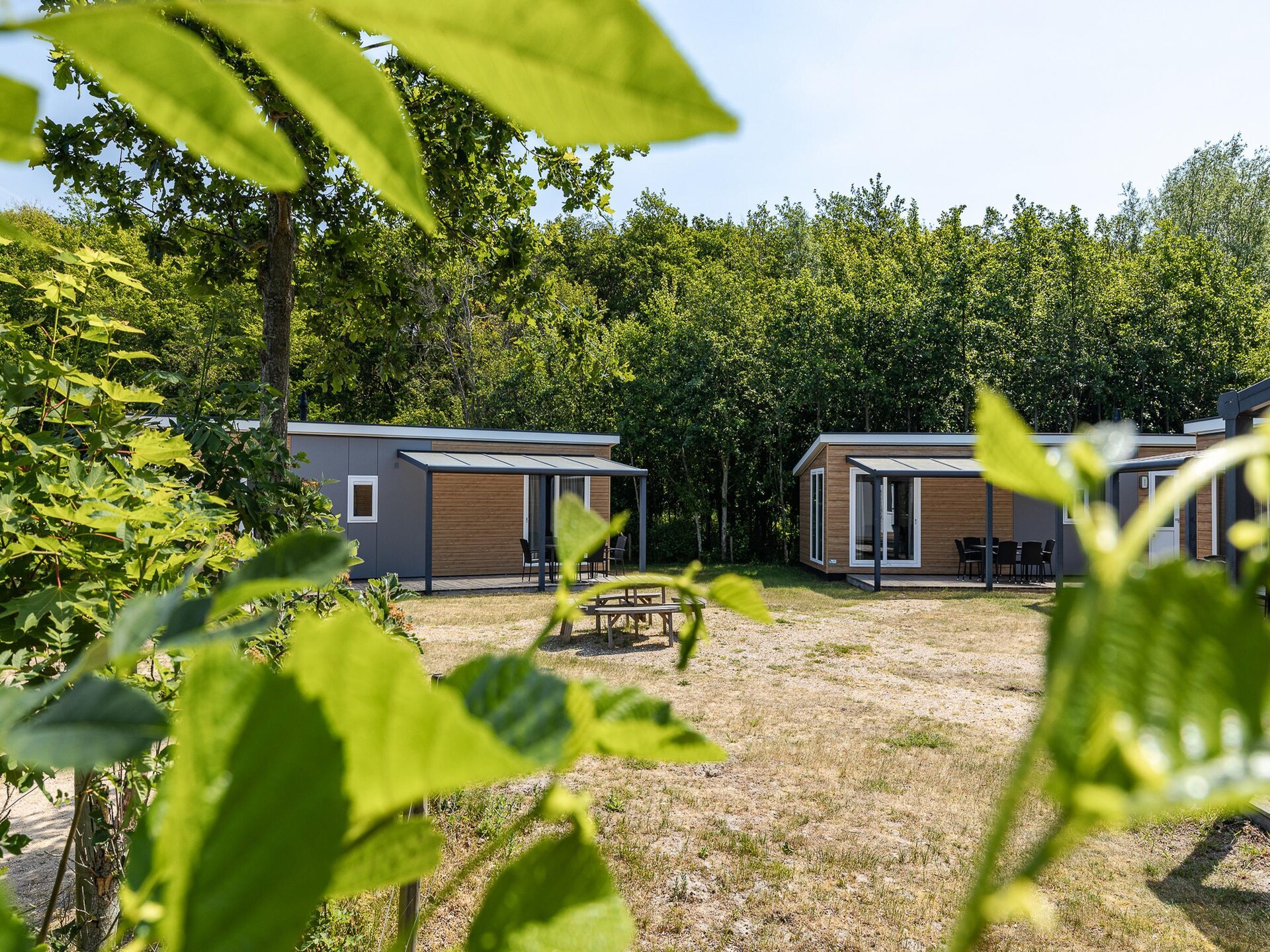 Comfortabel chalet voor 6 personen in Burgh-Haamstede - foto 36