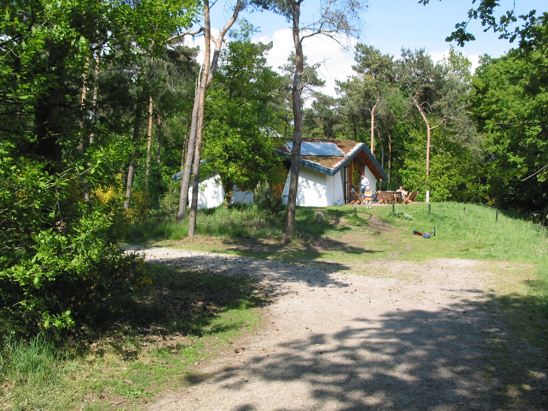 Eco-bosretraite voor 8 personen op Vakantiepark Herperduin - foto 2