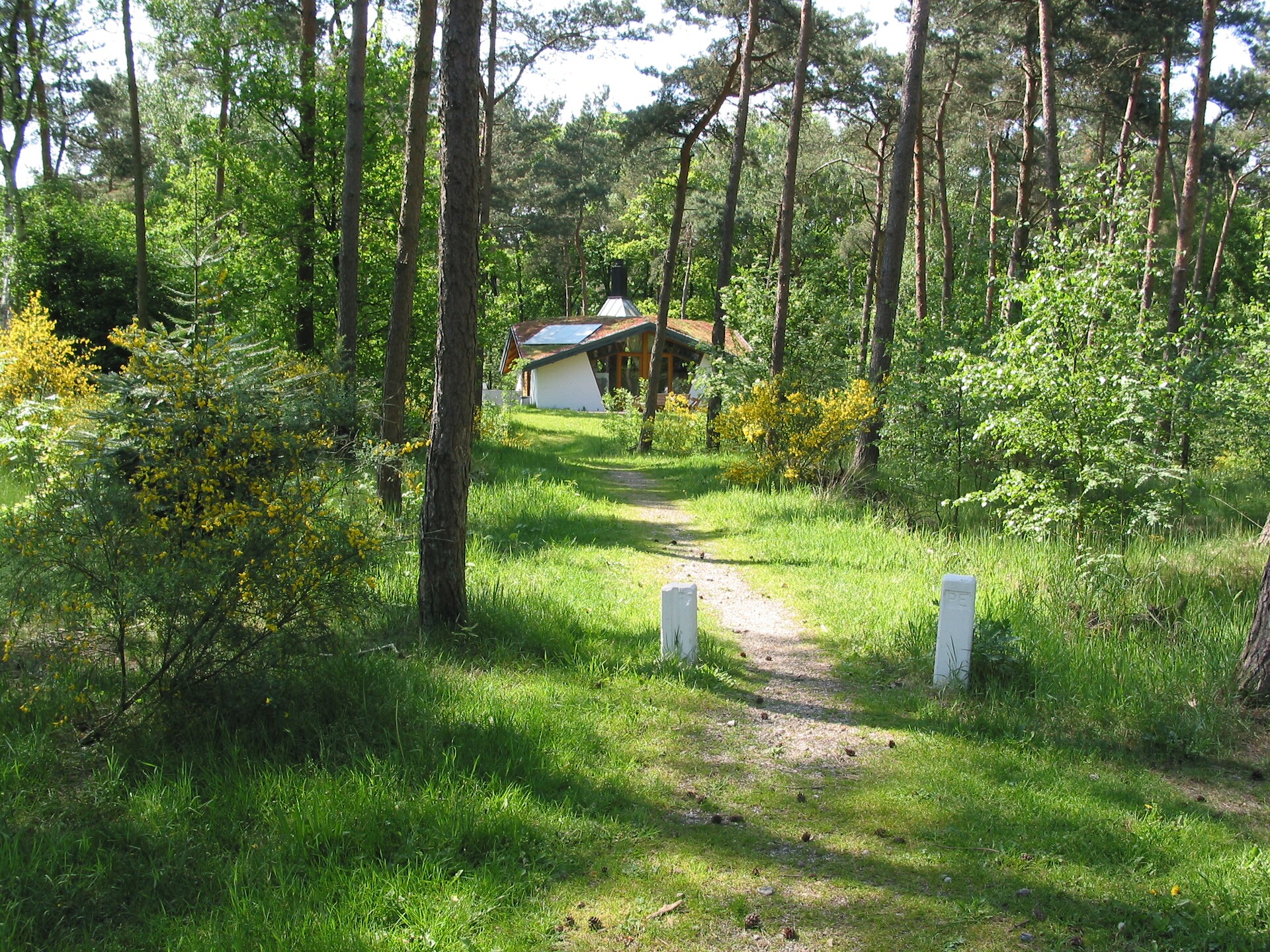Eco-bosretraite voor 8 personen op Vakantiepark Herperduin - foto 3