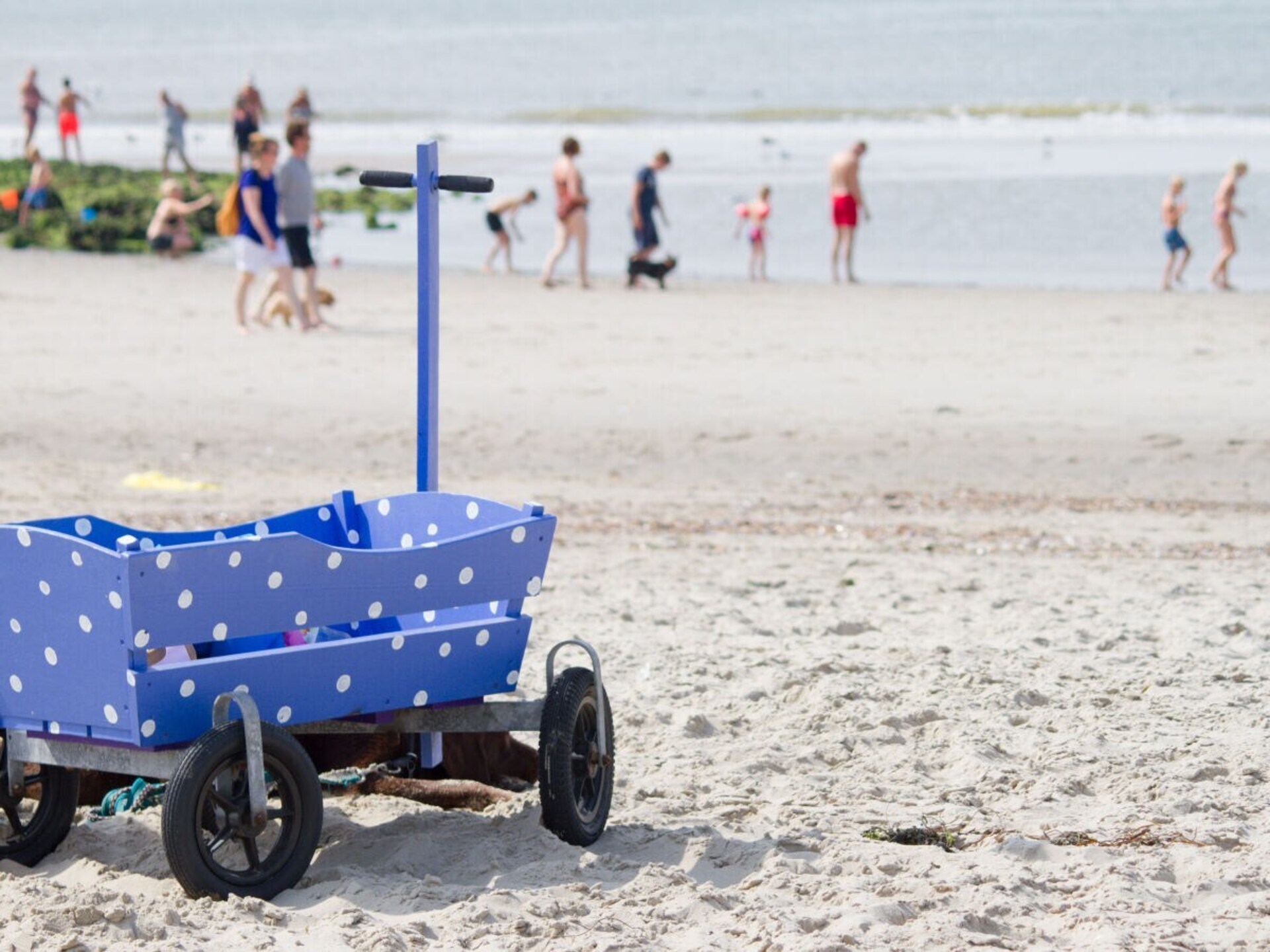 Gezellige bungalow voor 6 personen op 300m van het strand van Callantsoog - foto 27