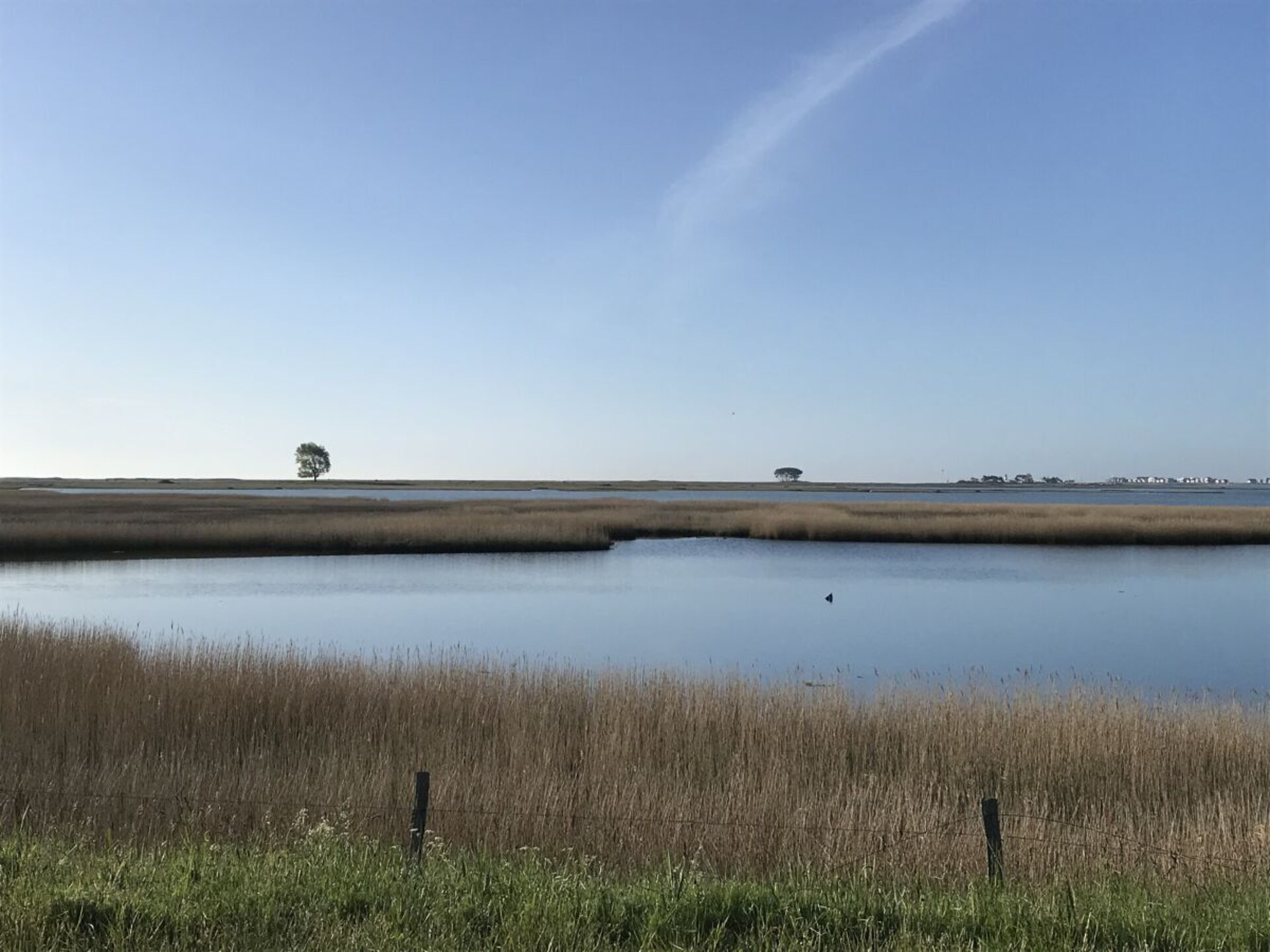 Exclusief strandhuis aan de Oostzee in Gelting met tuin en serre - foto 3