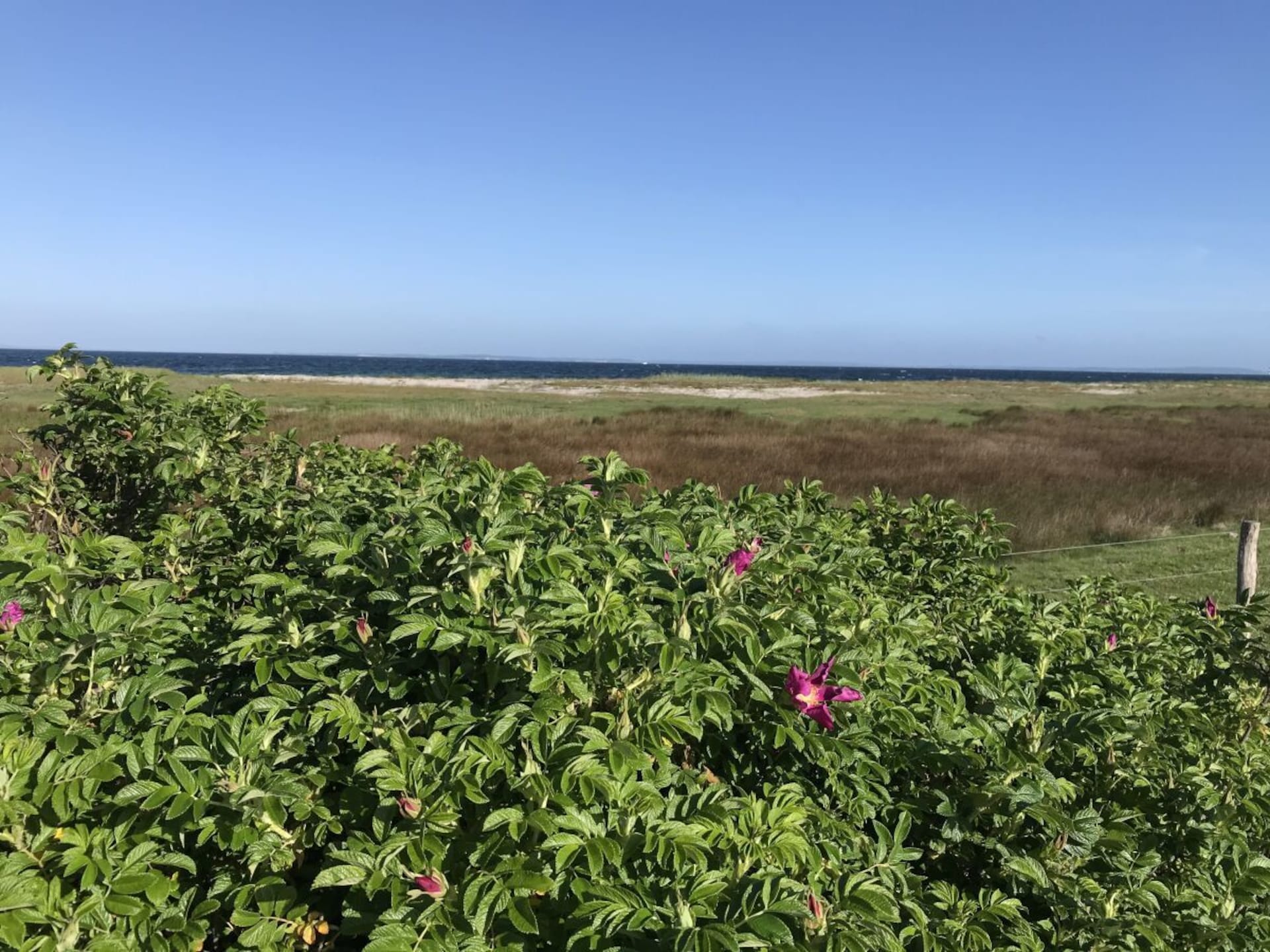 Exclusief strandhuis aan de Oostzee in Gelting met tuin en serre - foto 25