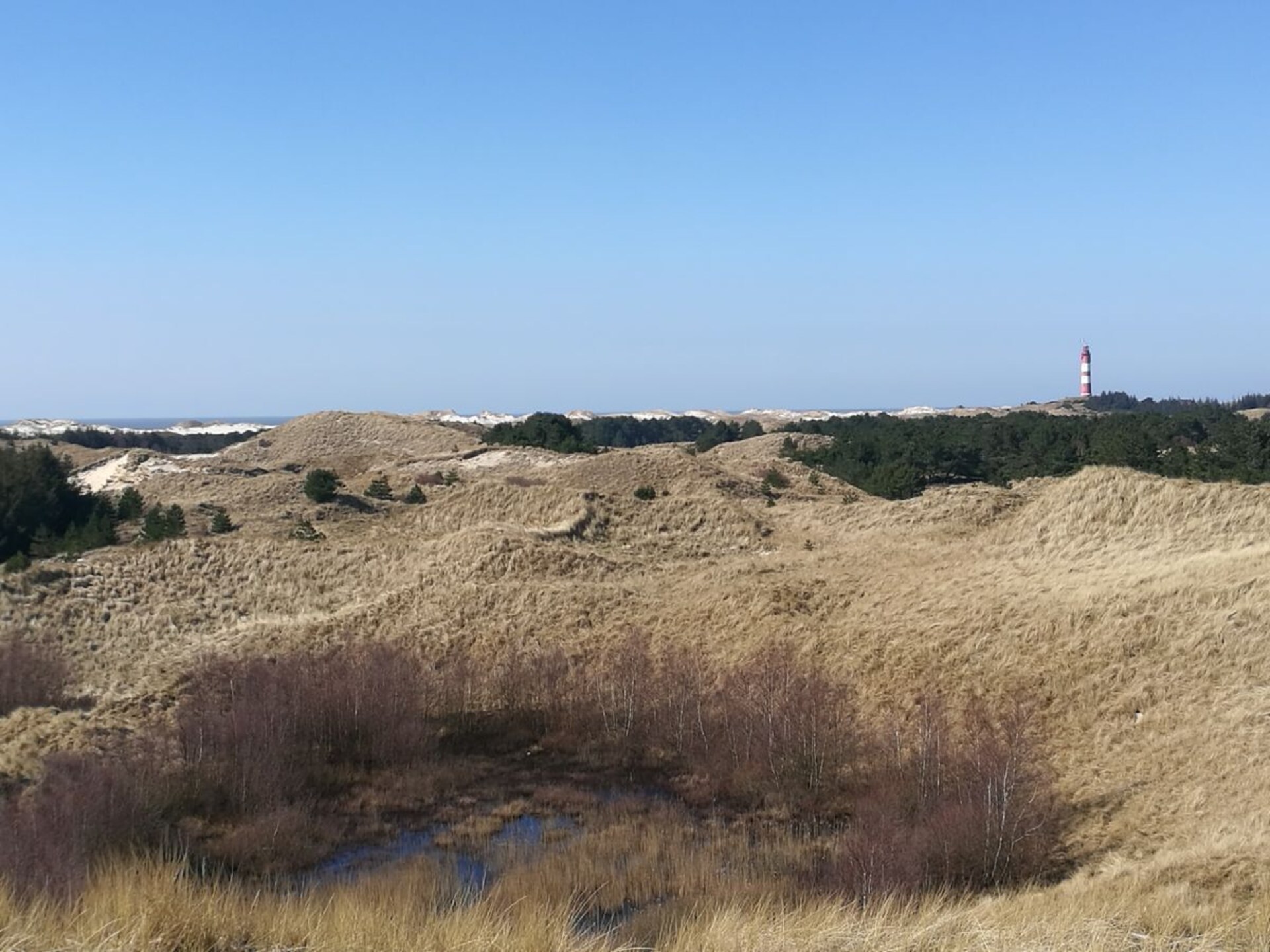 Vakantiehuis Kniepsand in Wittdün – 4 personen, hondvriendelijk, met tuin - foto 18