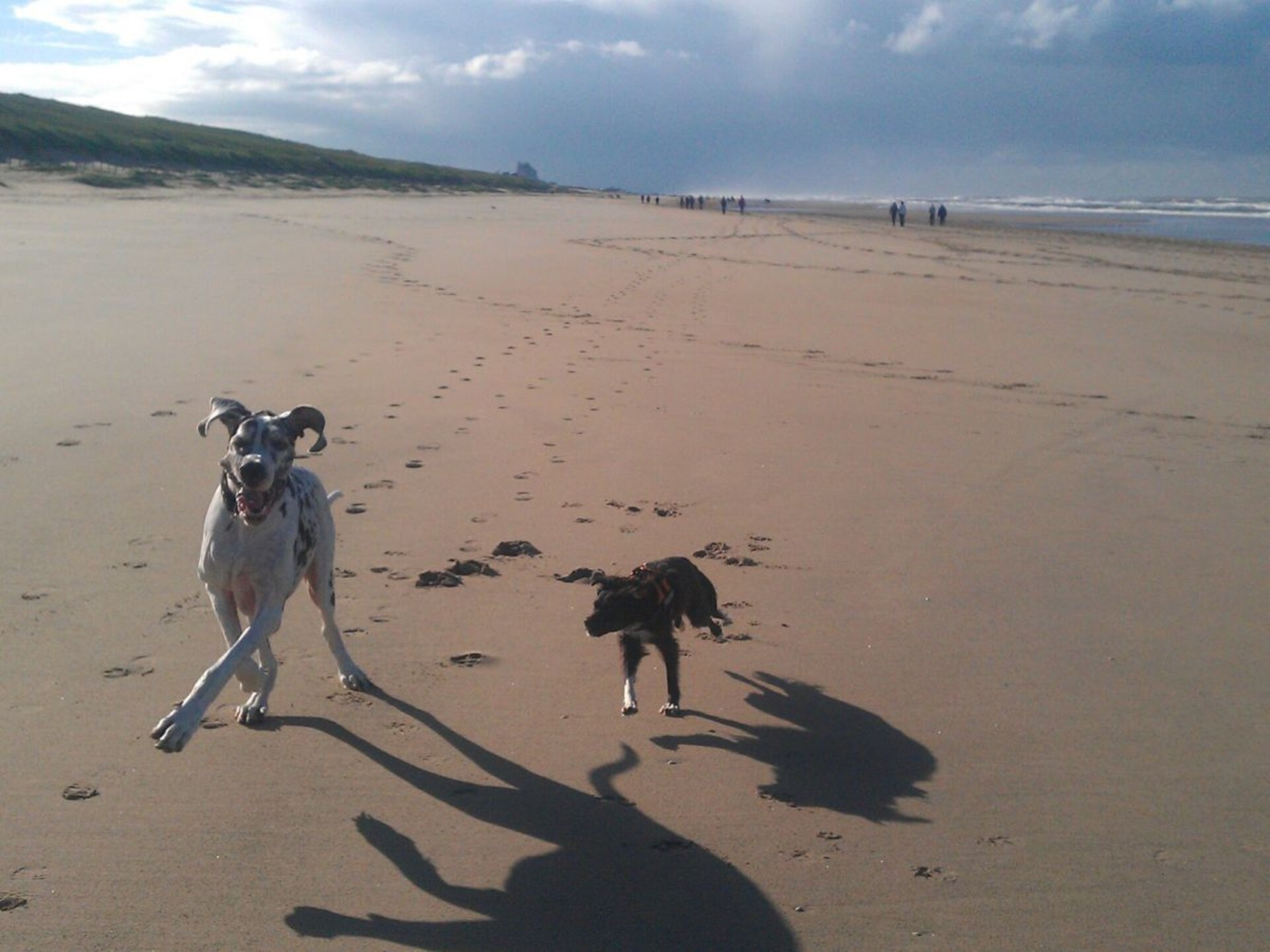 Romantisch chalet aan het water in Noordwijk, hond welkom - foto 16