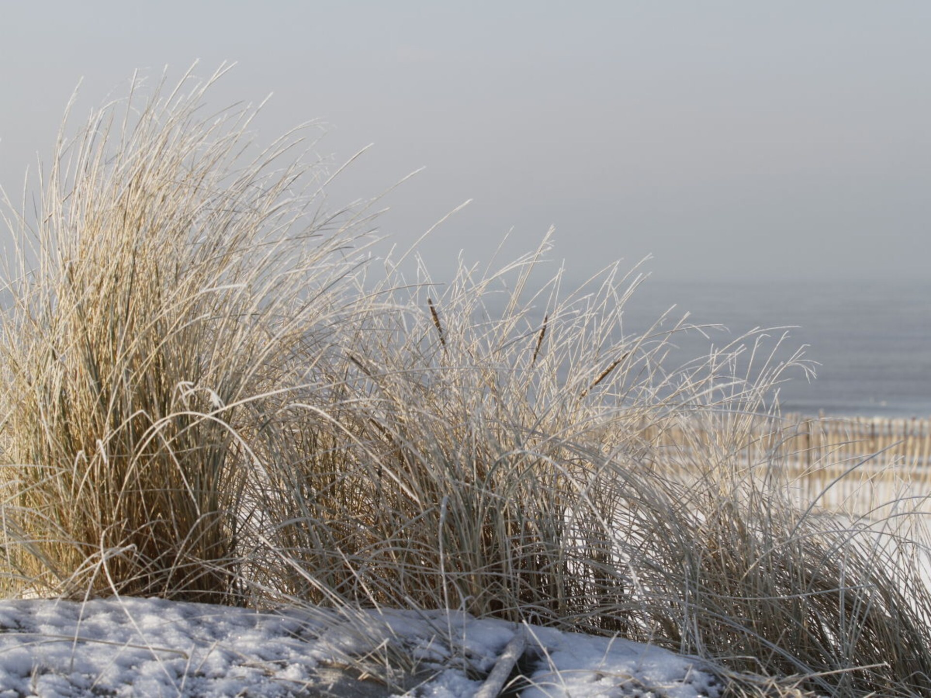 Romantisch strandchalet met tuin en balkon in Noordwijk - foto 17