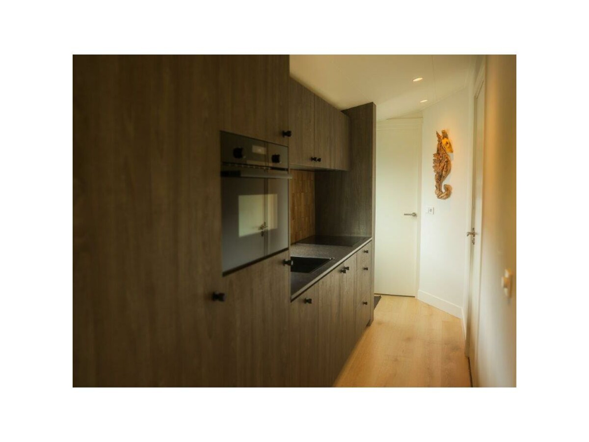 Romantische Beach Loft in Noordwijk: strand, duinen en jouw hond mee - foto 11