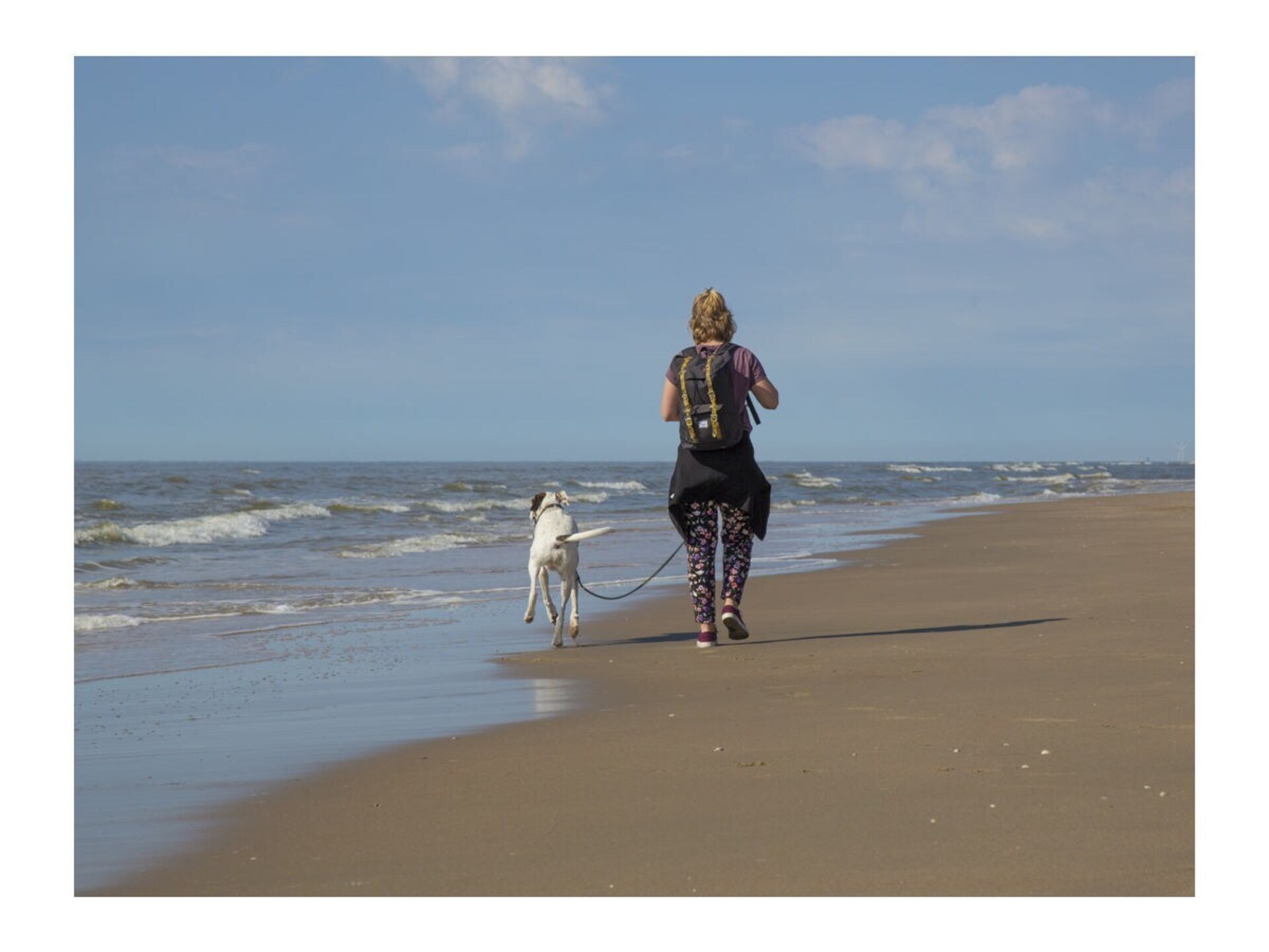 Romantische Beach Loft in Noordwijk: strand, duinen en jouw hond mee - foto 20