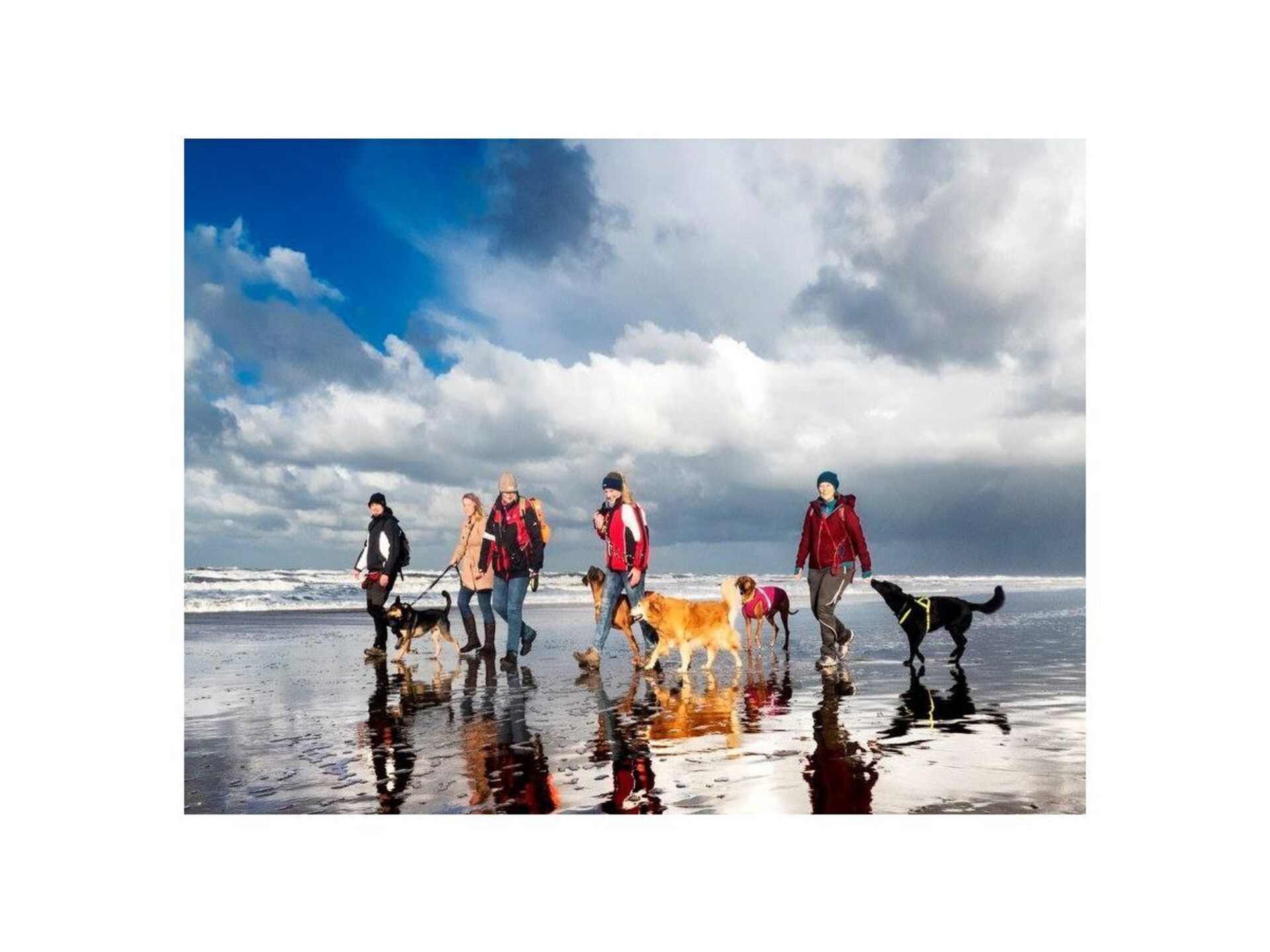 Knus chalet voor twee met hond, op 1,5 km van Noordwijkse strand - foto 14