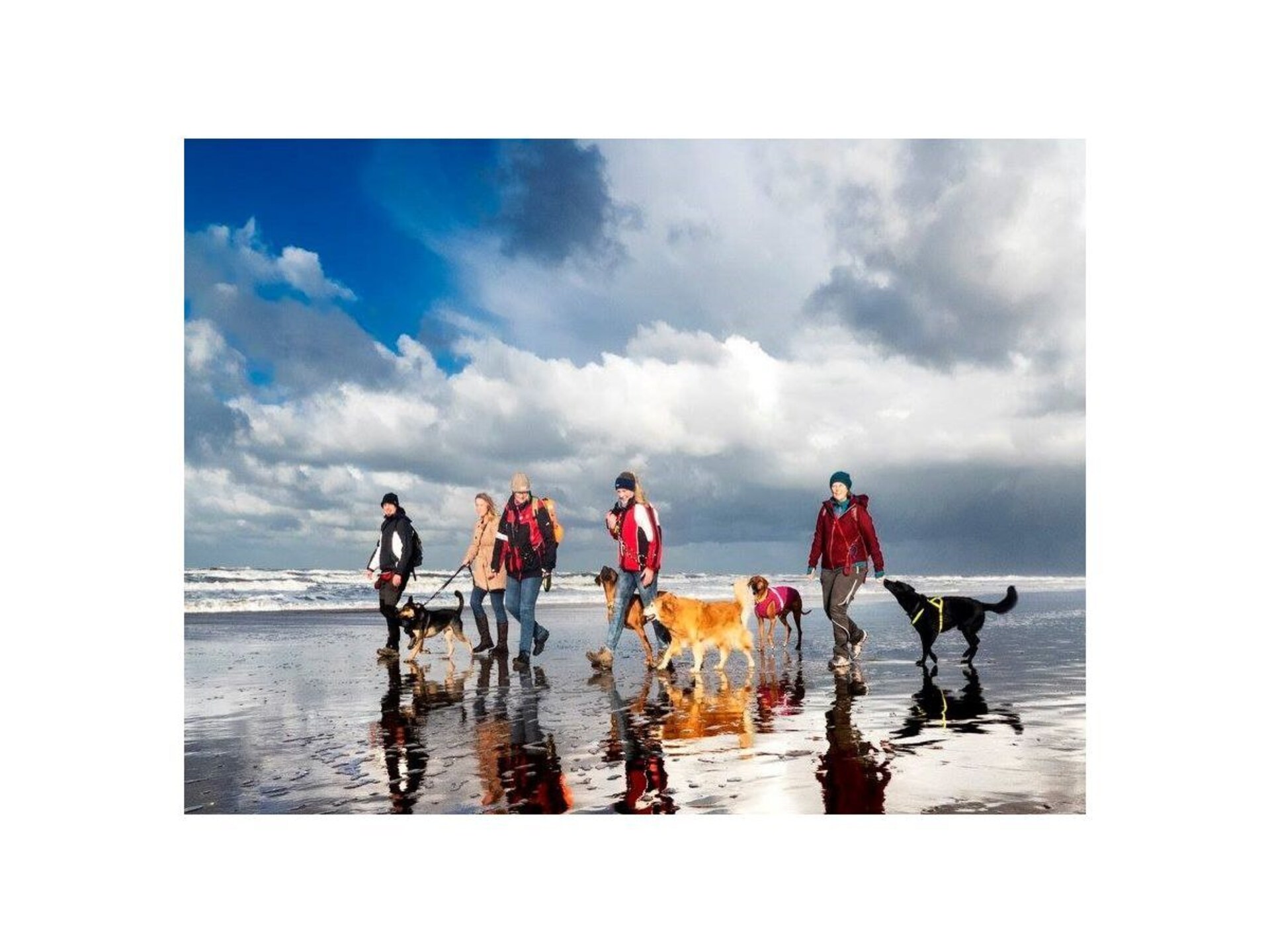 Knus chalet voor 2 aan het water in Noordwijk, hond welkom - foto 15