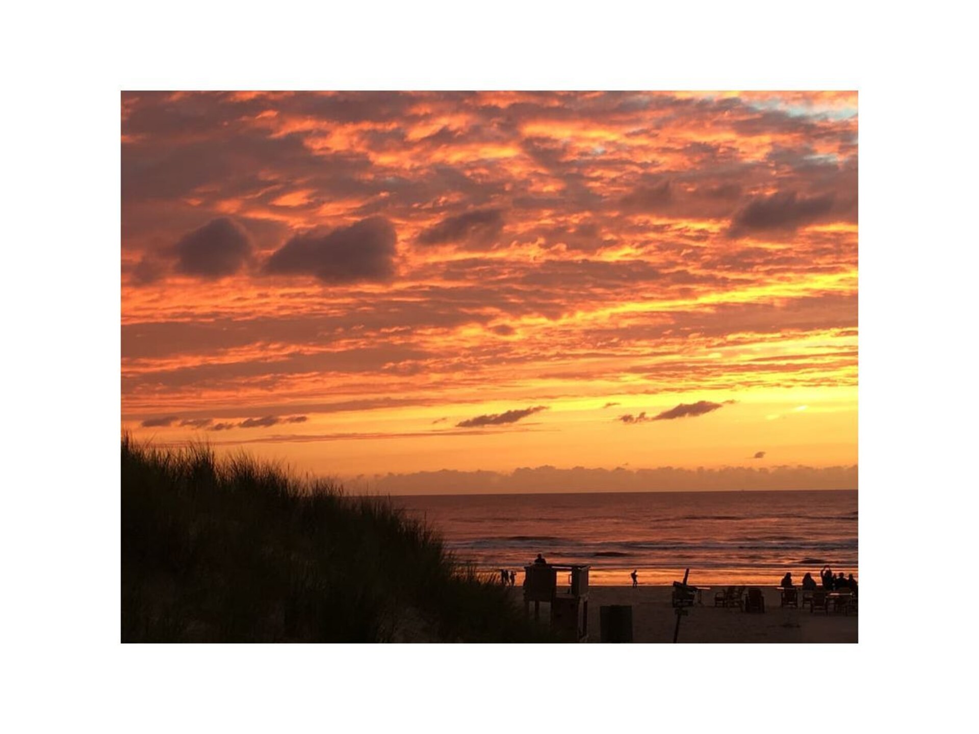 Knus chalet voor 2 aan het water in Noordwijk, hond welkom - foto 19