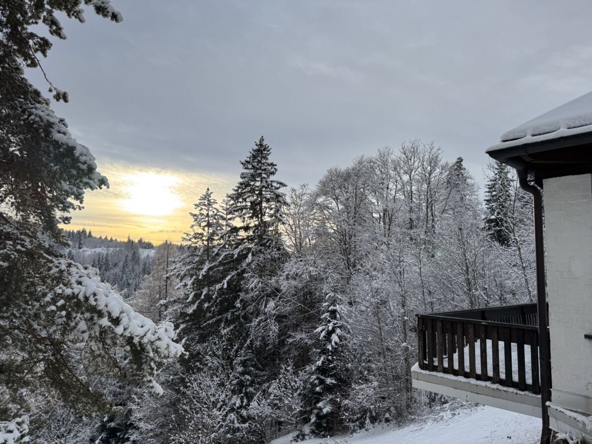 Ruim vakantiehuis voor 11 personen in Furtwangen, Zwarte Woud - foto 3
