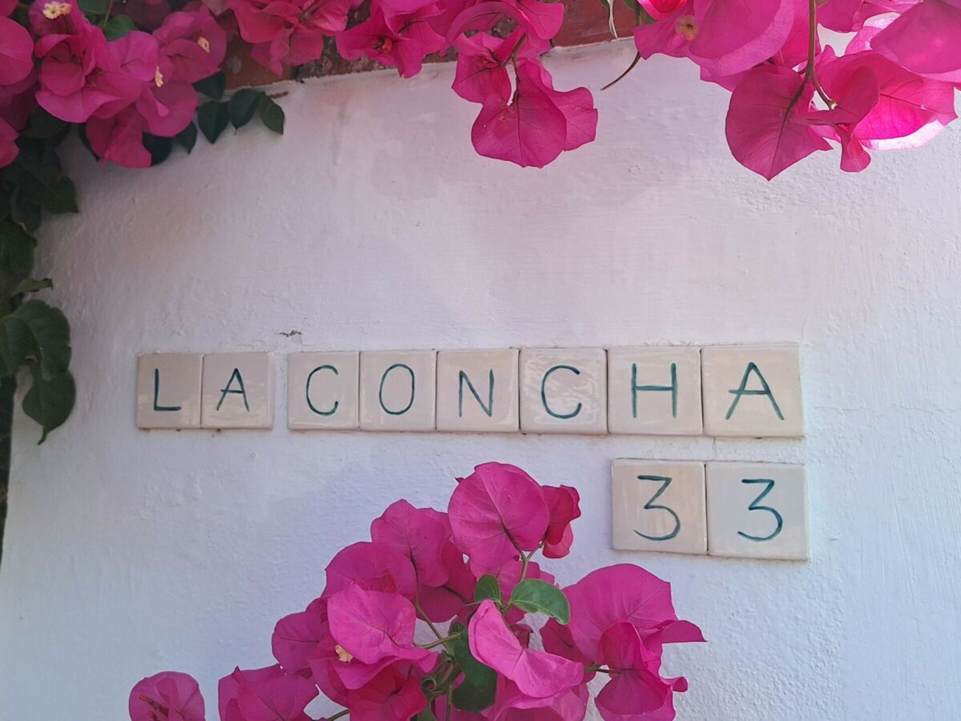 Casa Concha: Ruim vakantiehuis met privézwembad op loopafstand van strand Roche - foto 10
