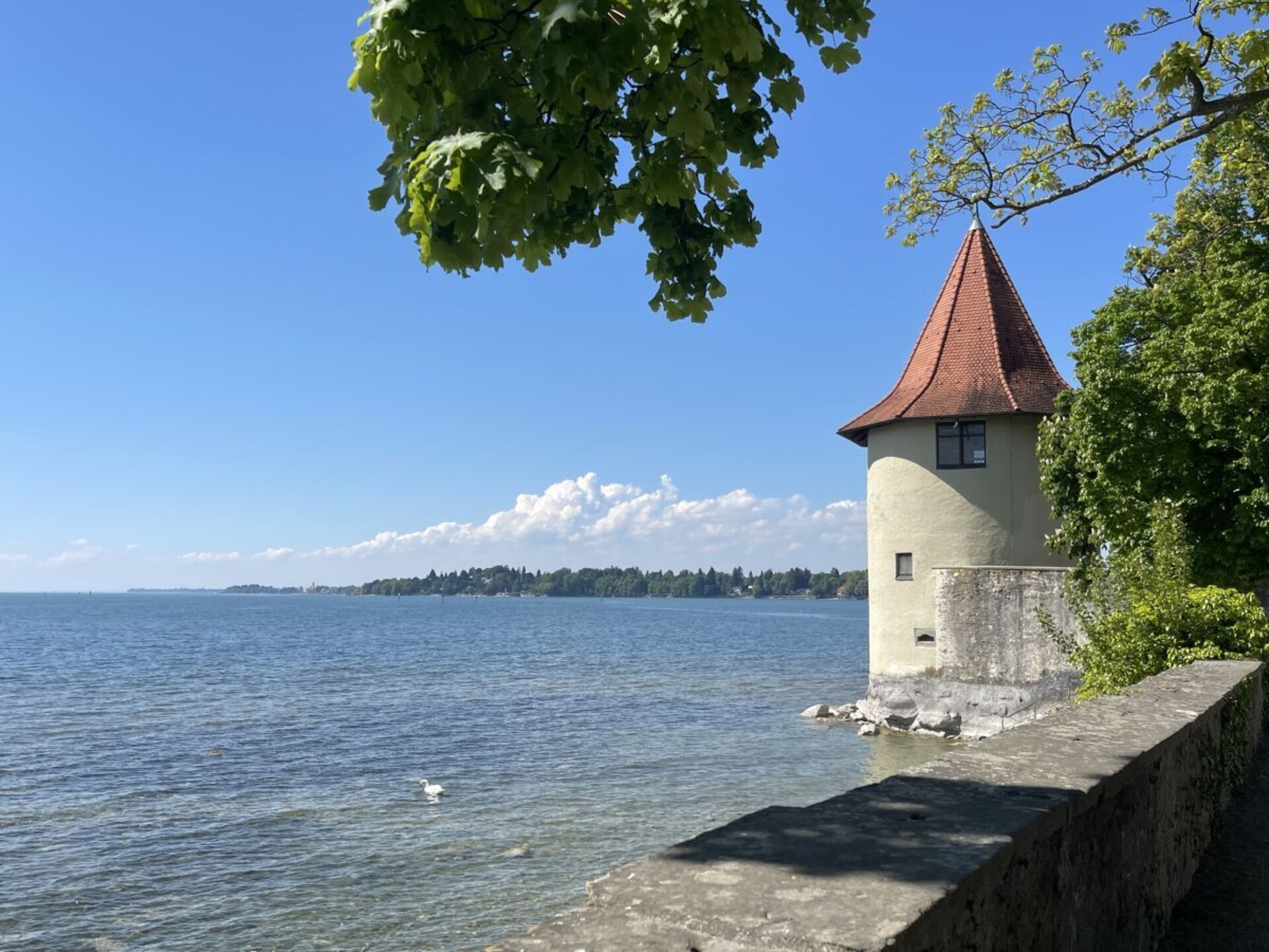 Ruim appartement met balkon en tuinzicht op 3 km van het centrum van Lindau - foto 17