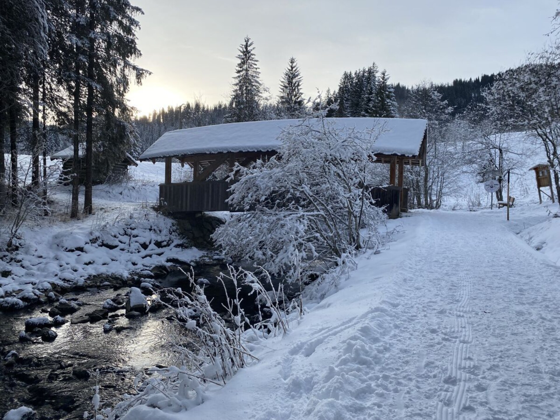 Gerenoveerd appartement in Birkengrün met zonnig terras en bergzicht - foto 4