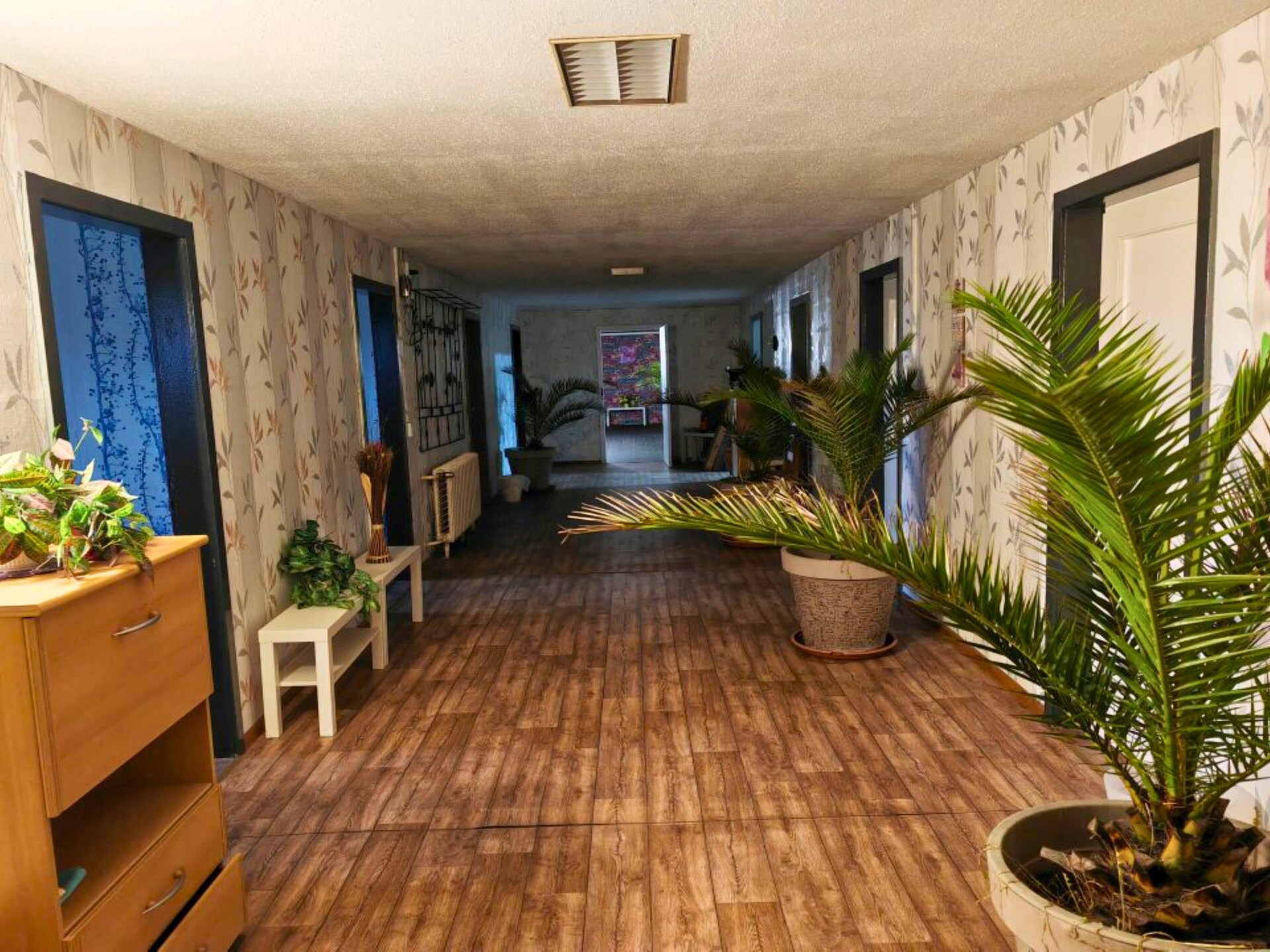 Rustiek appartement in Oderbruch met tuin en ontbijtoptie - foto 5