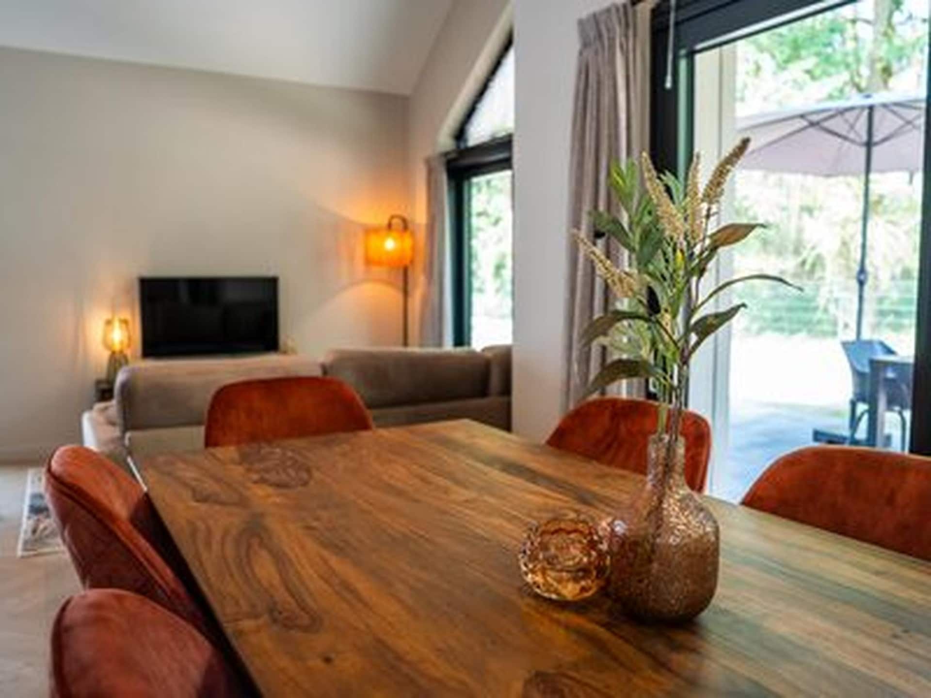 Ecovilla Boszicht Luxe: moderne vrijstaande woning met airco op Vakantiepark Latour - foto 3
