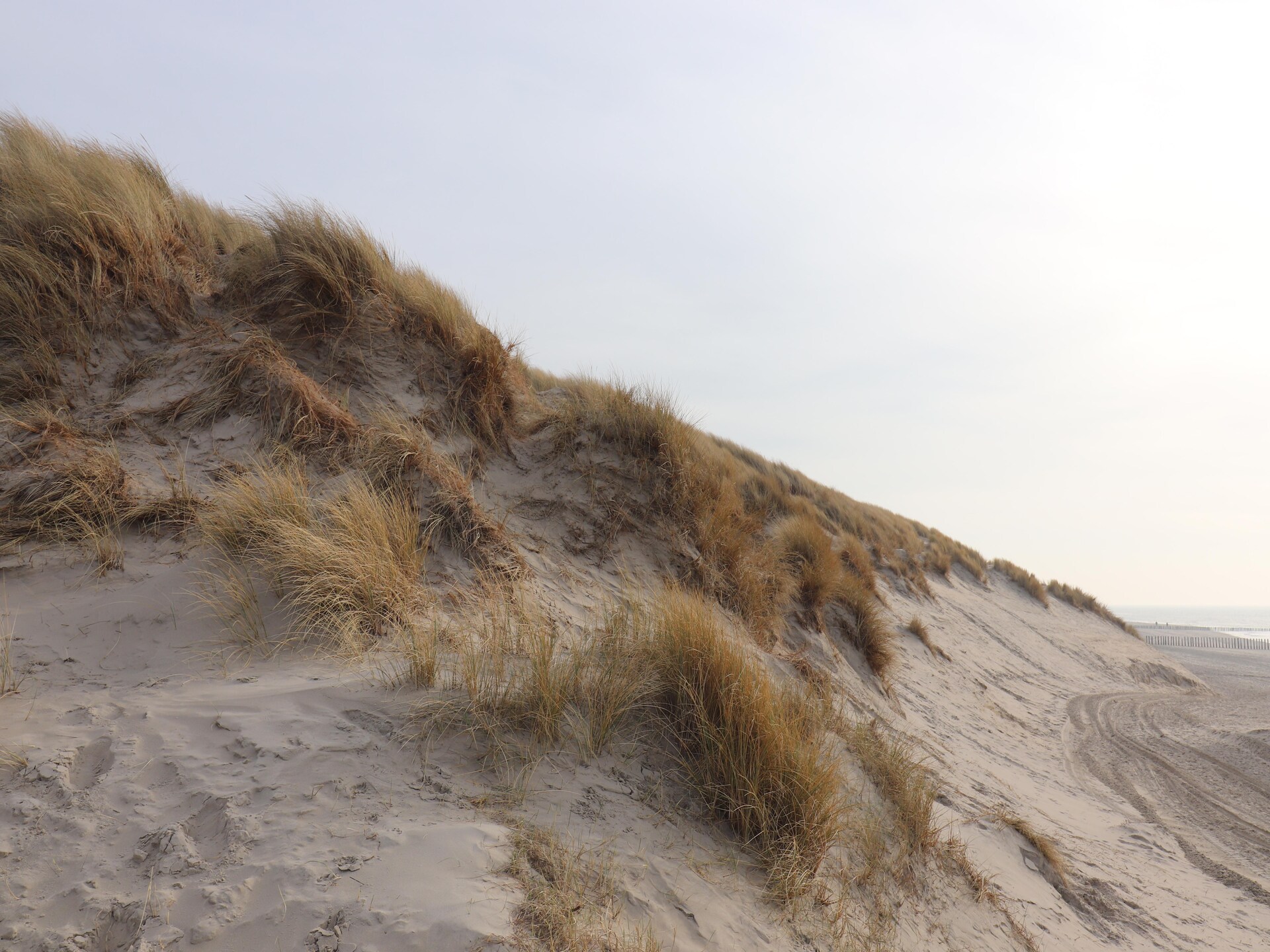 Comfortabel vakantiechalet op Ameland, dichtbij duinen en strand - foto 21