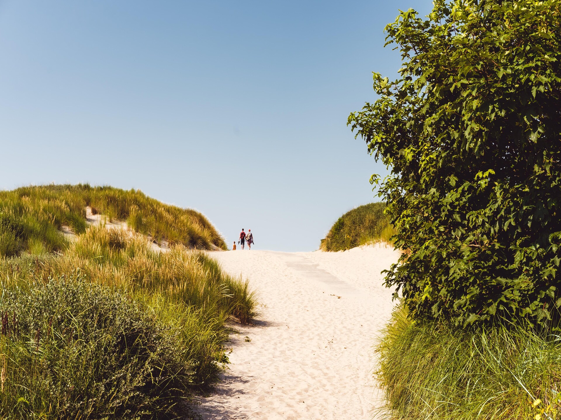 Modern comfort chalet op Ameland, dicht bij strand en golfbaan - foto 26